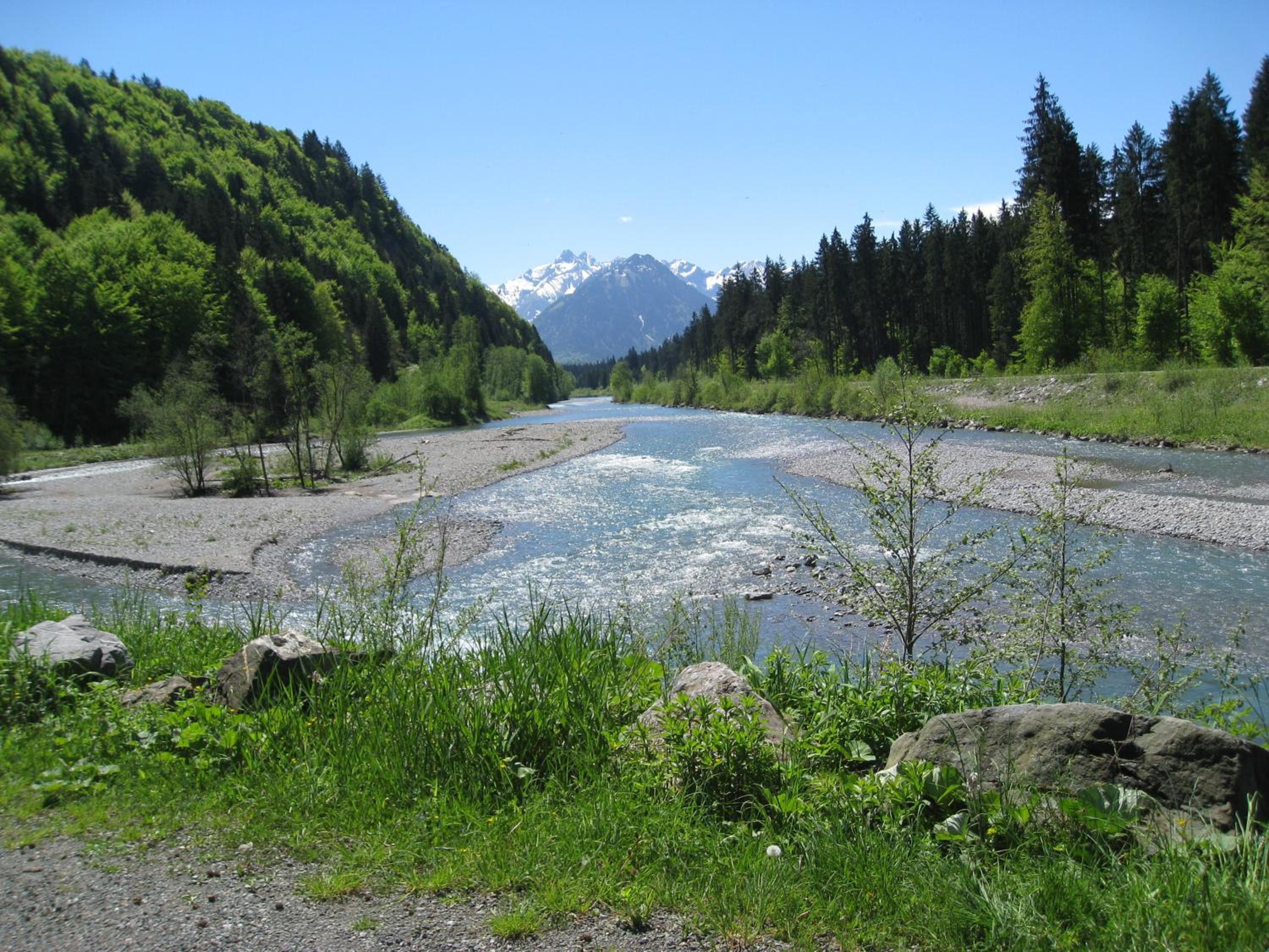 Gästehaus Bergfrieden view 5