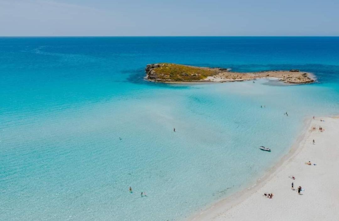 Nissi Golden Sand lovely one bedroom apartment with spacious terrace and free parking view 5
