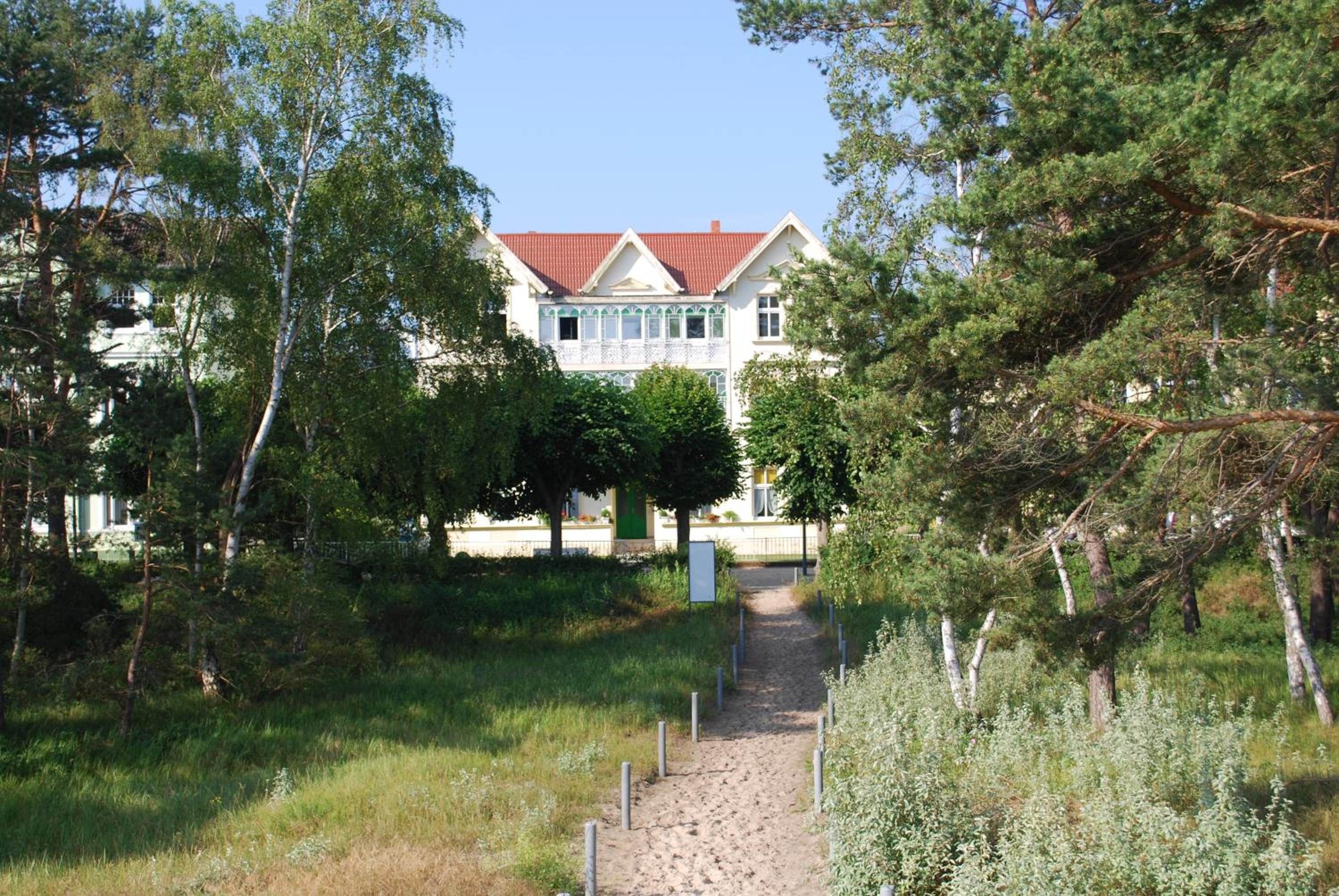 Photo 8