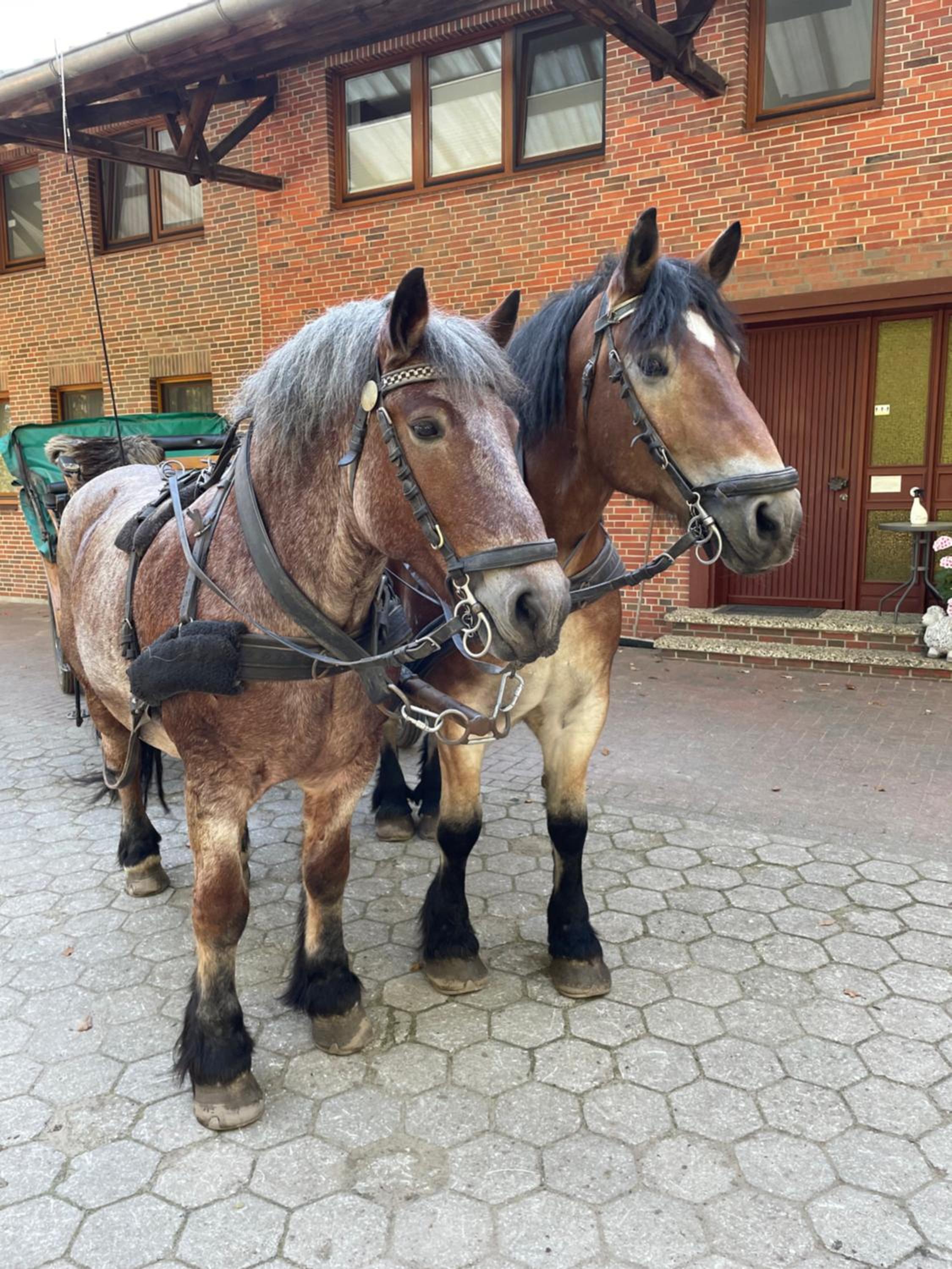 Ferienhaus unter Reet im Heidedorf Sankt Dionys bei Lüneburg