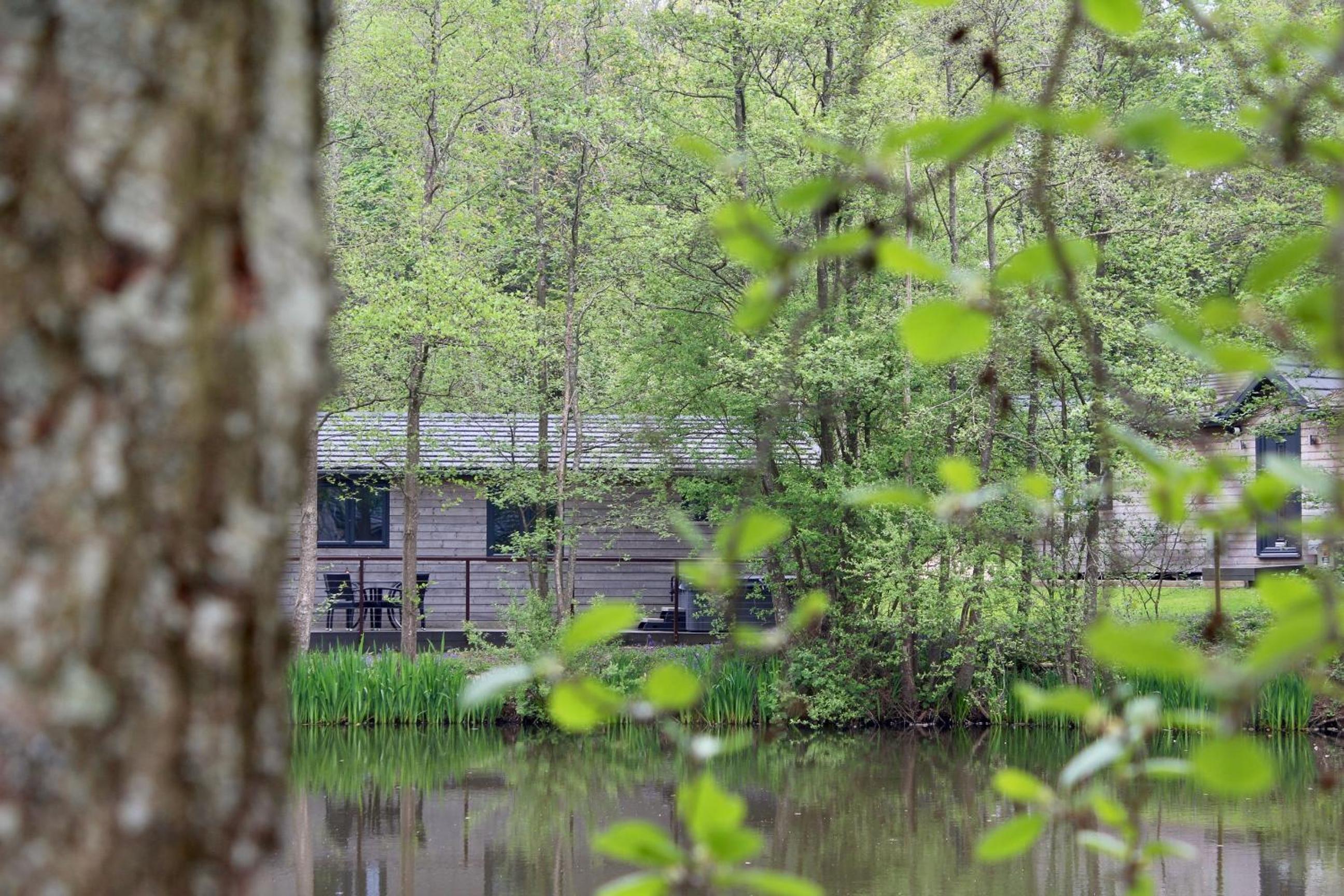 Warren Wood Country Park view 4