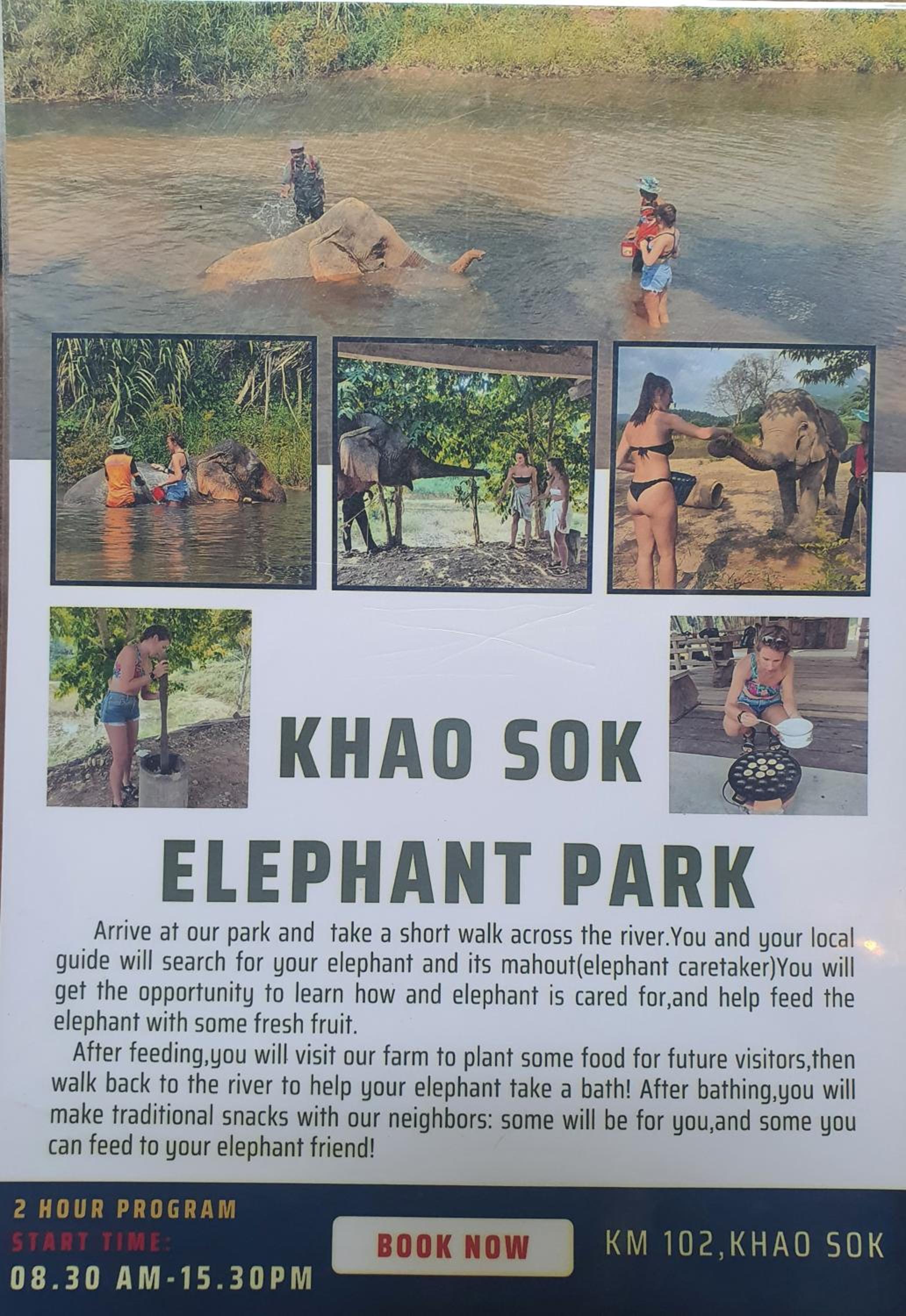 Khao Sok Silver Cliff Resort