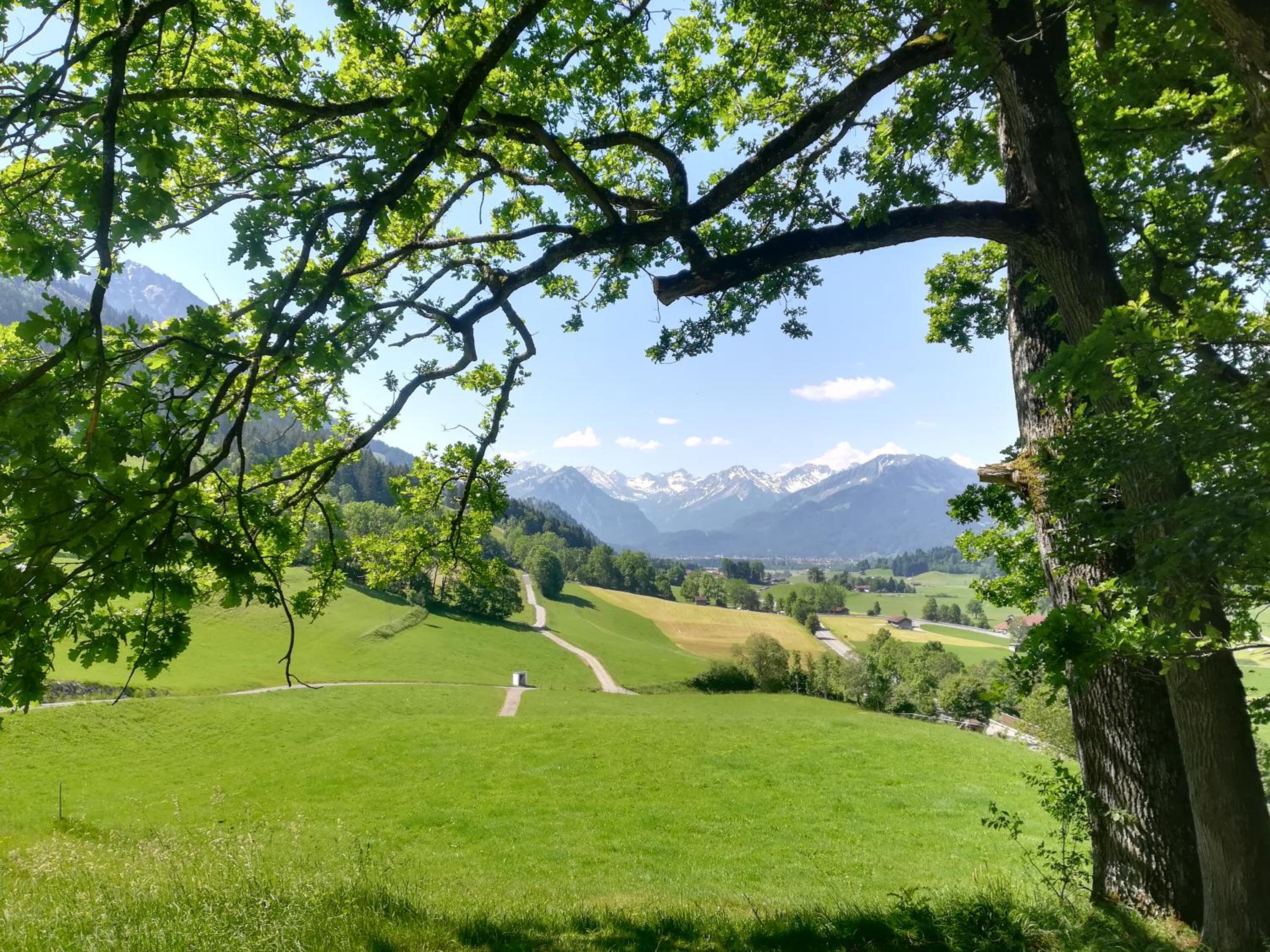 Gästehaus Dornach view 4