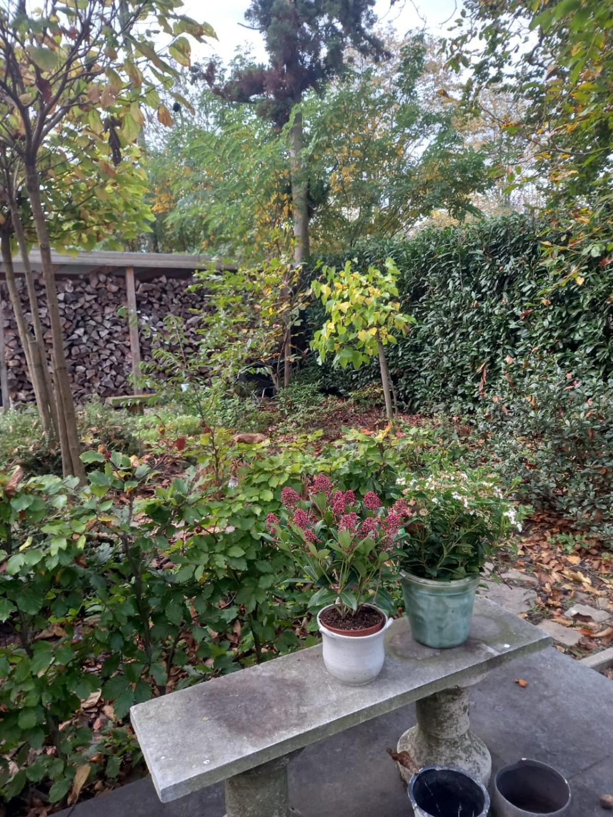 Photo 22