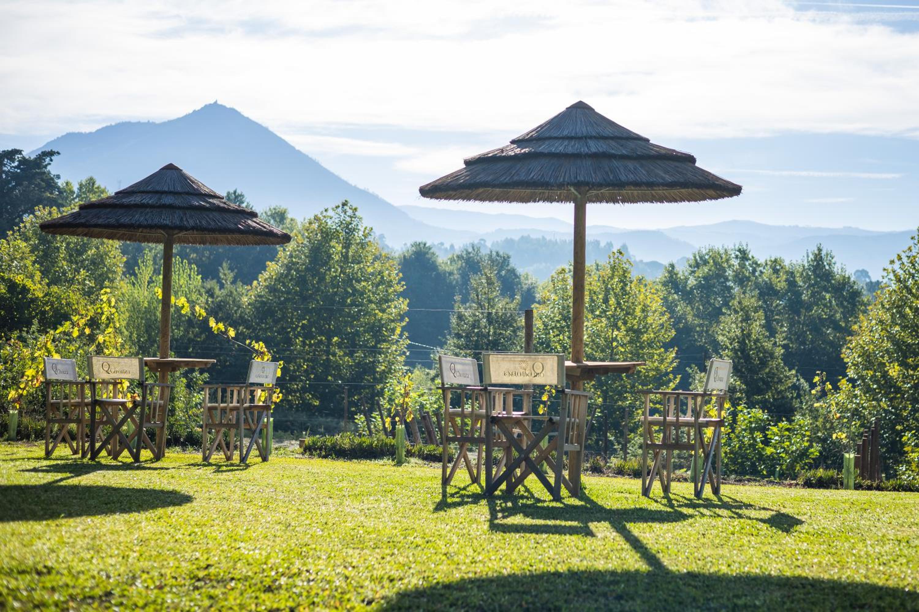 Quinta da Chouza Agroturismo e Enoturismo view 4