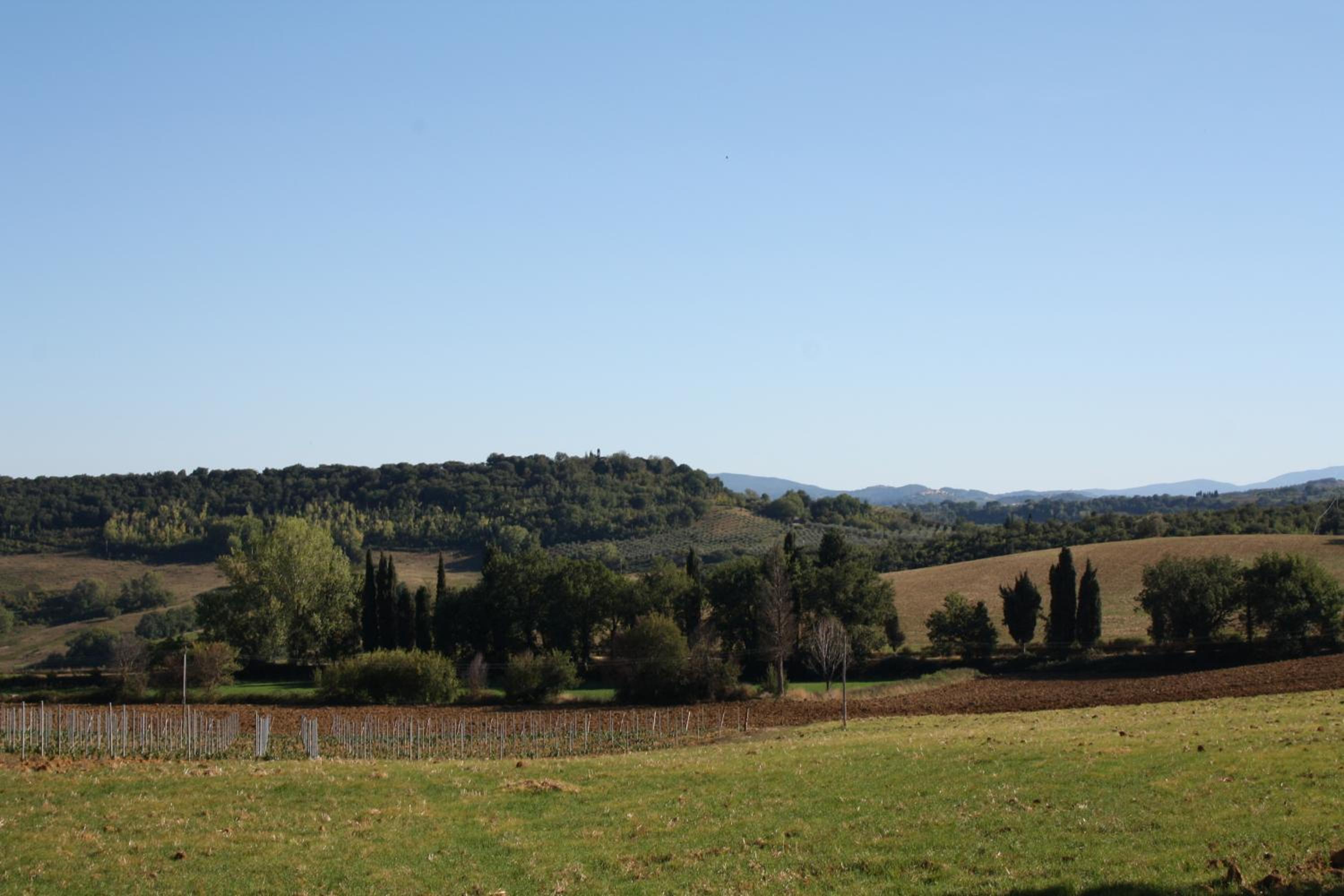 Photo 48