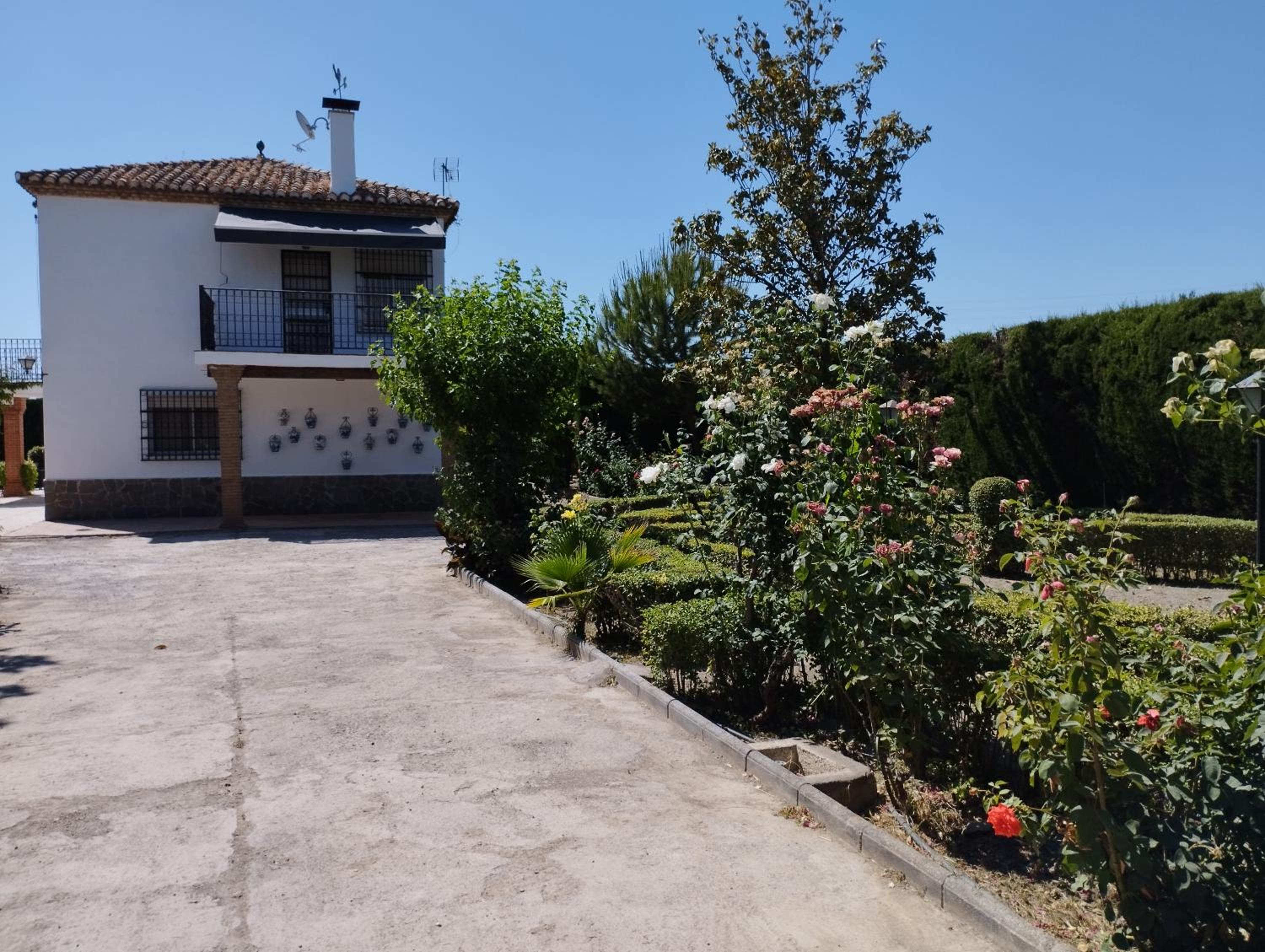 VIVIENDA RURAL HUERTA DEl MEDIO