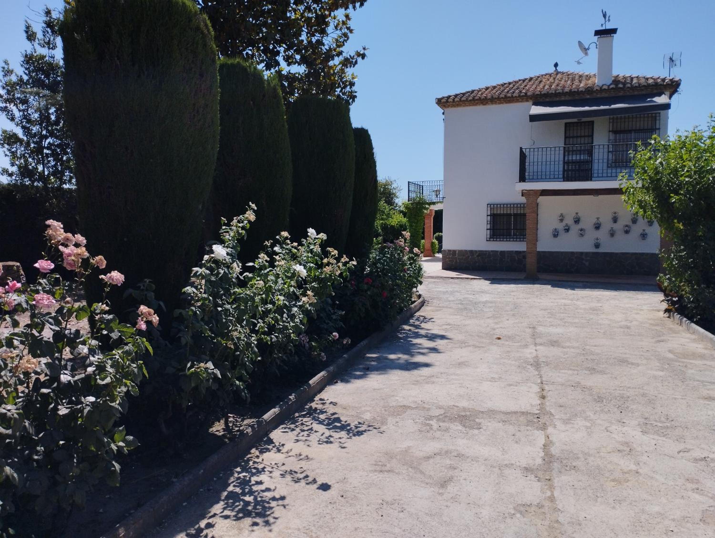 VIVIENDA RURAL HUERTA DEl MEDIO