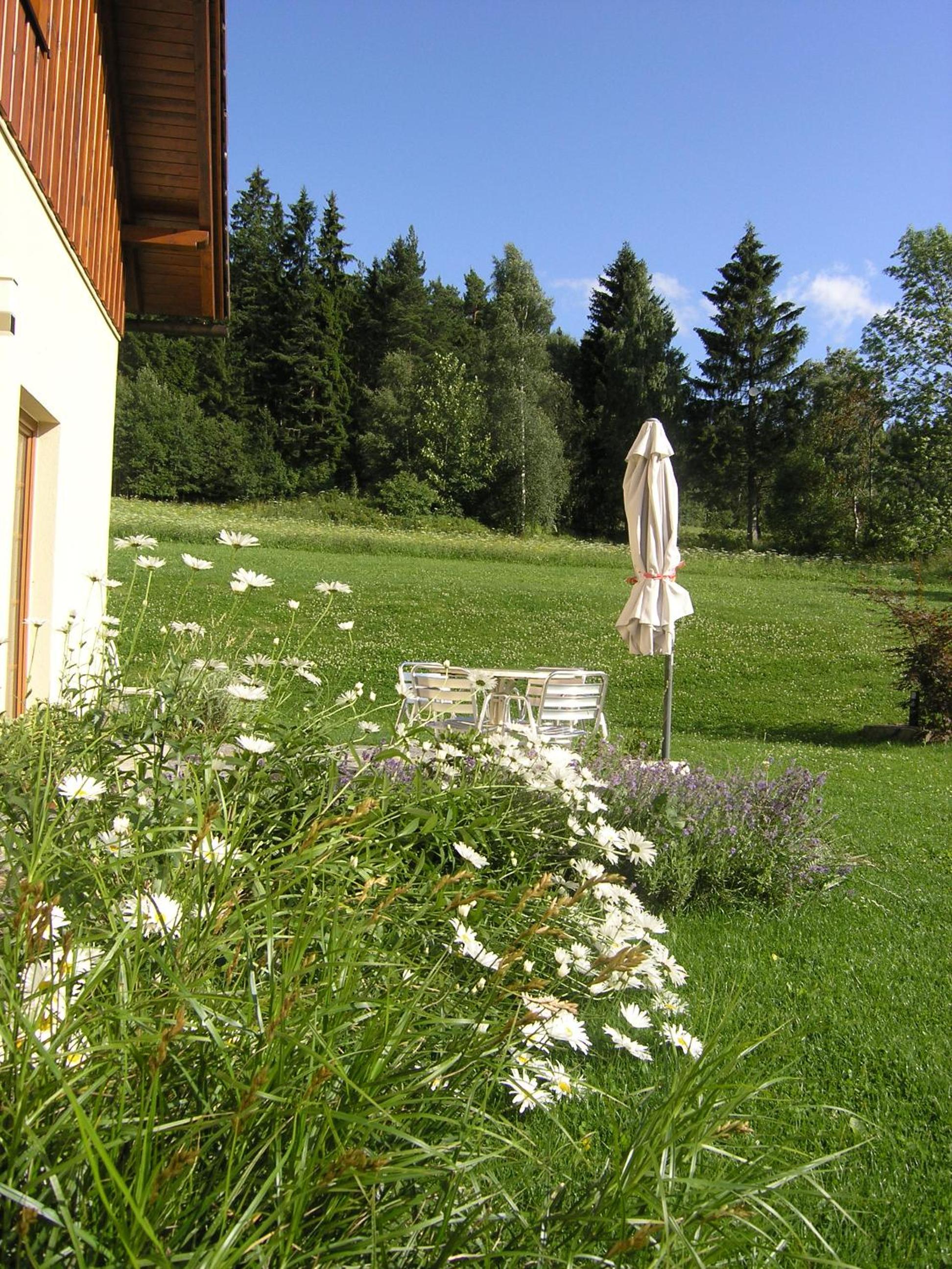 Photo 36