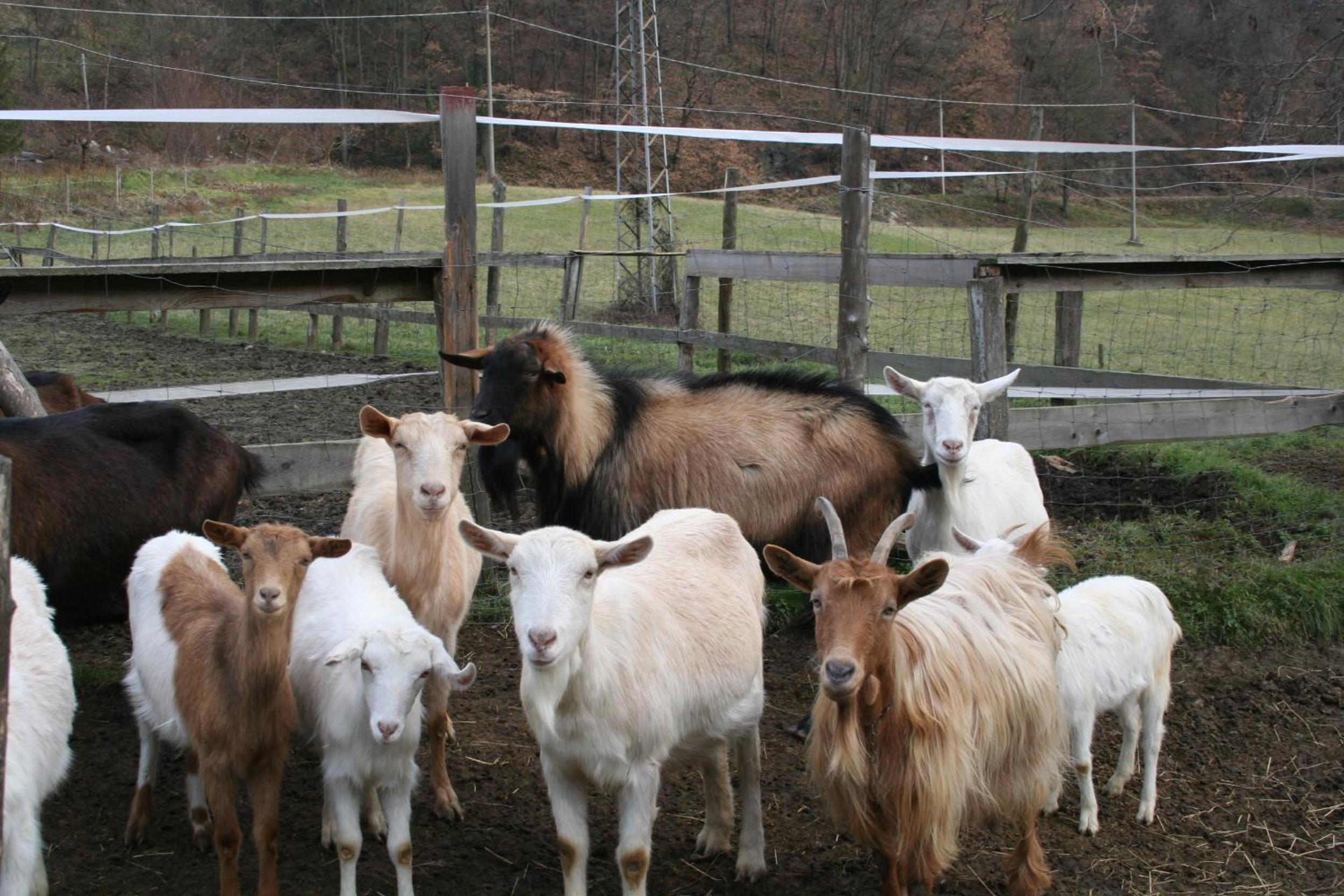 Agriturismo Cascina del Vai