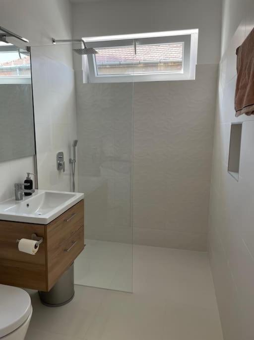 Buda Castle Toldy Apartment view 2