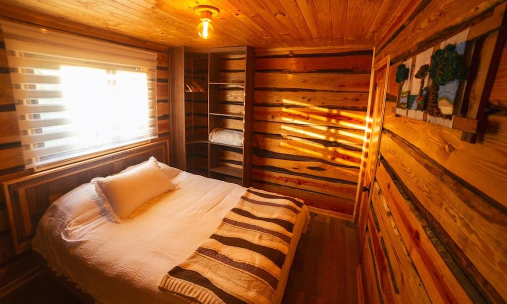 Encantadora Casa del Árbol en el Valle del Elqui!