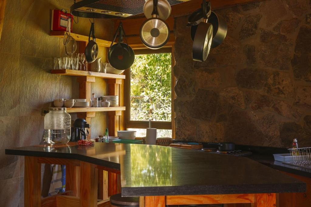 Encantadora Casa del Árbol en el Valle del Elqui!