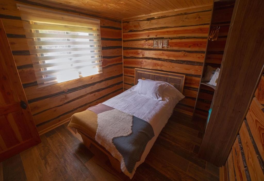 Encantadora Casa del Árbol en el Valle del Elqui!