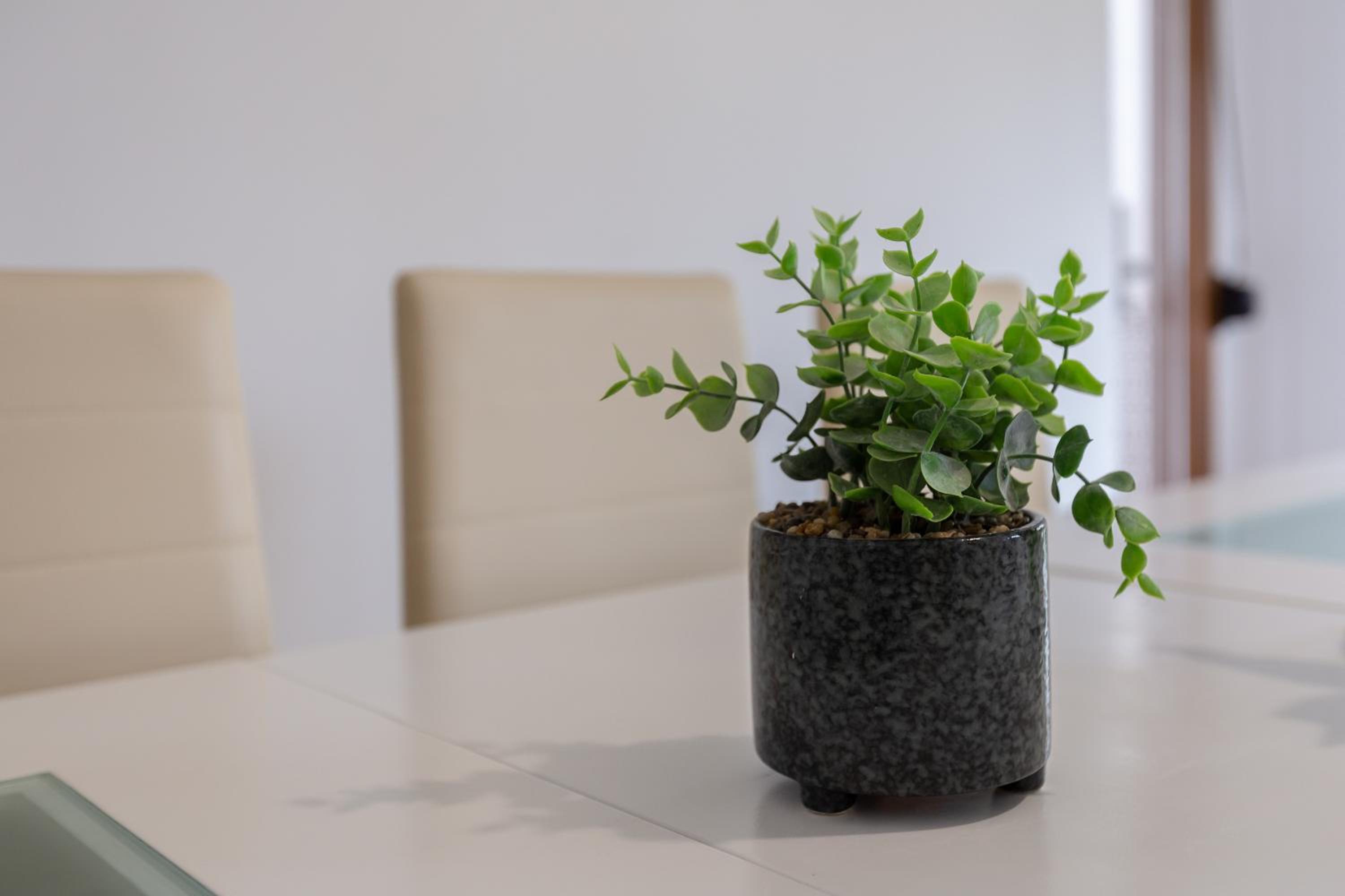 Casa Guadalmar