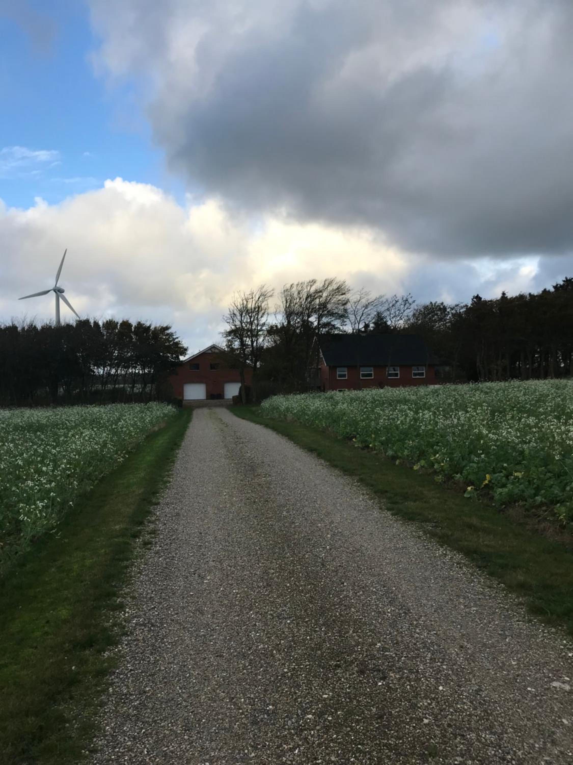 Ny Roesgaard