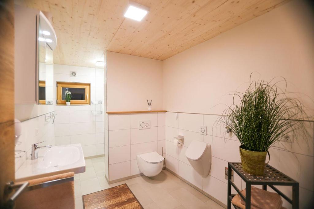 Daheim im Geissetal