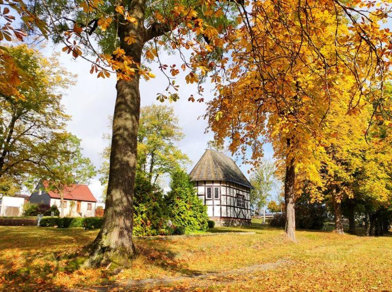 Ferienhaus Blaue Blume mit 11 kW Ladestation, Kamin, Terrasse, eingezäuntem Garten, Sauna, WLAN, Netflix, 2 Hunde willkommen!