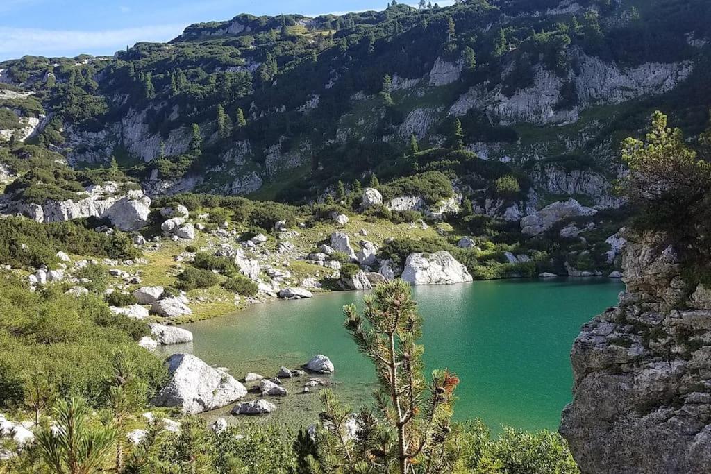 'dasBergblick'