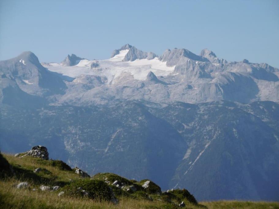 'dasBergblick'