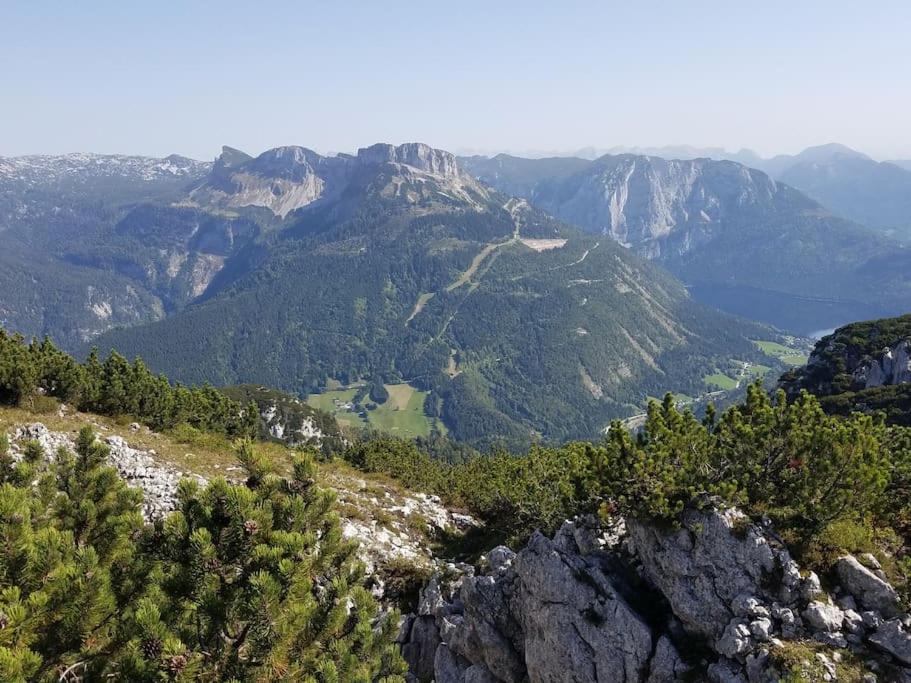 'dasBergblick'