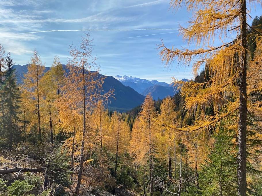 'dasBergblick'