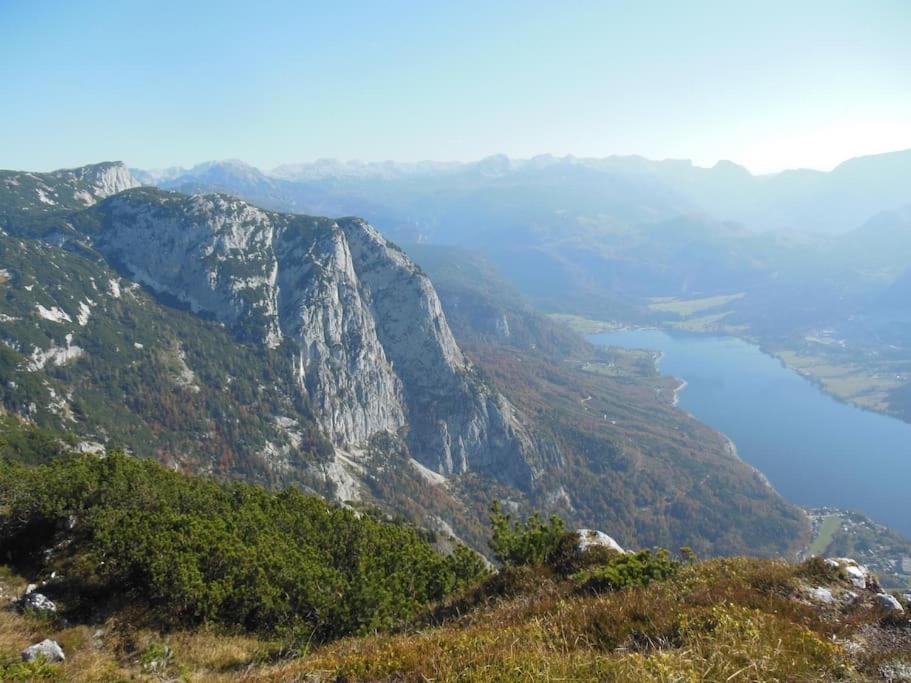 'dasBergblick'