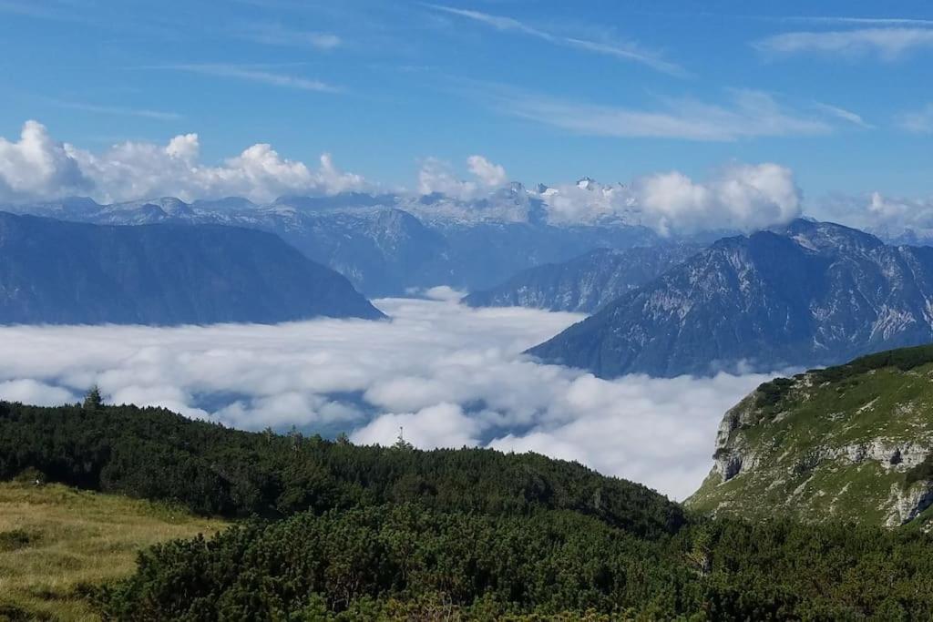 'dasBergblick'