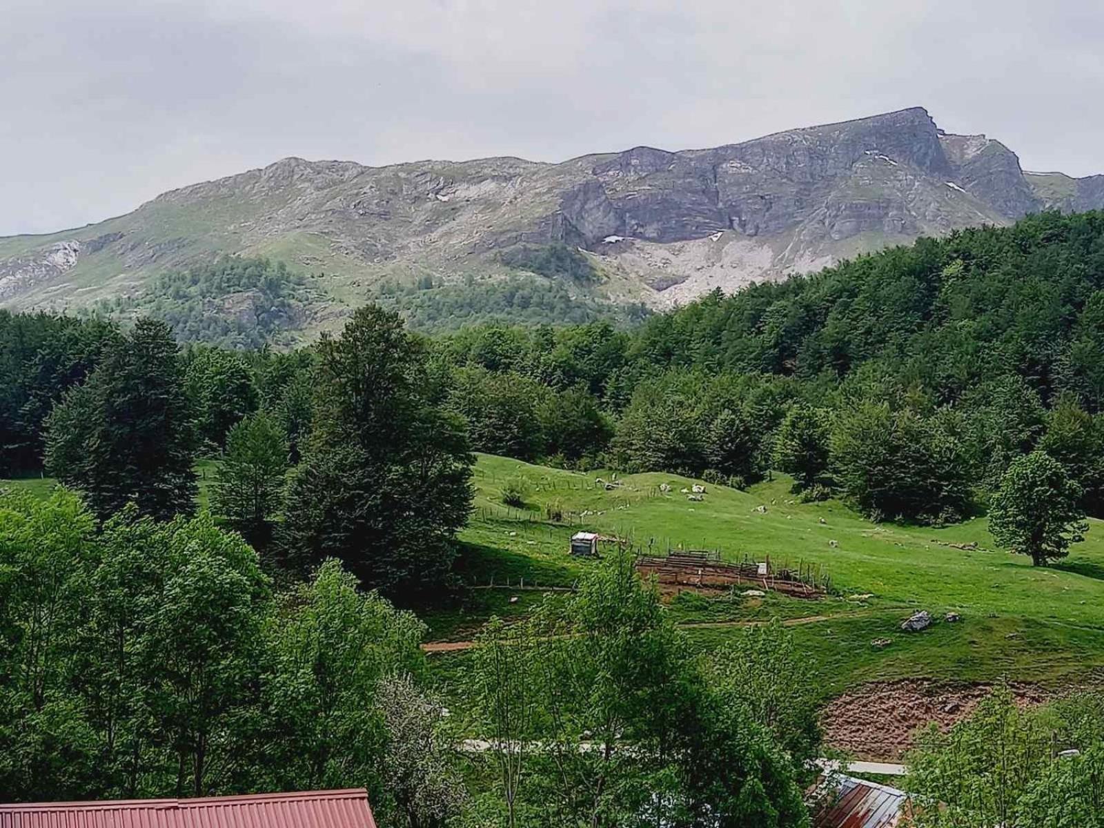 Apartmani Jelenača