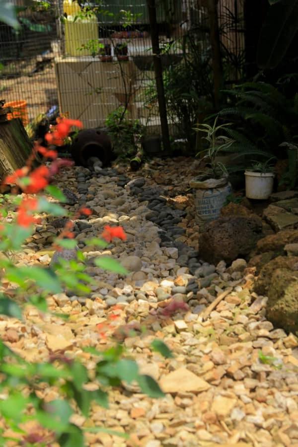 Tortoise park , Eco Lodge & Campsite view 5