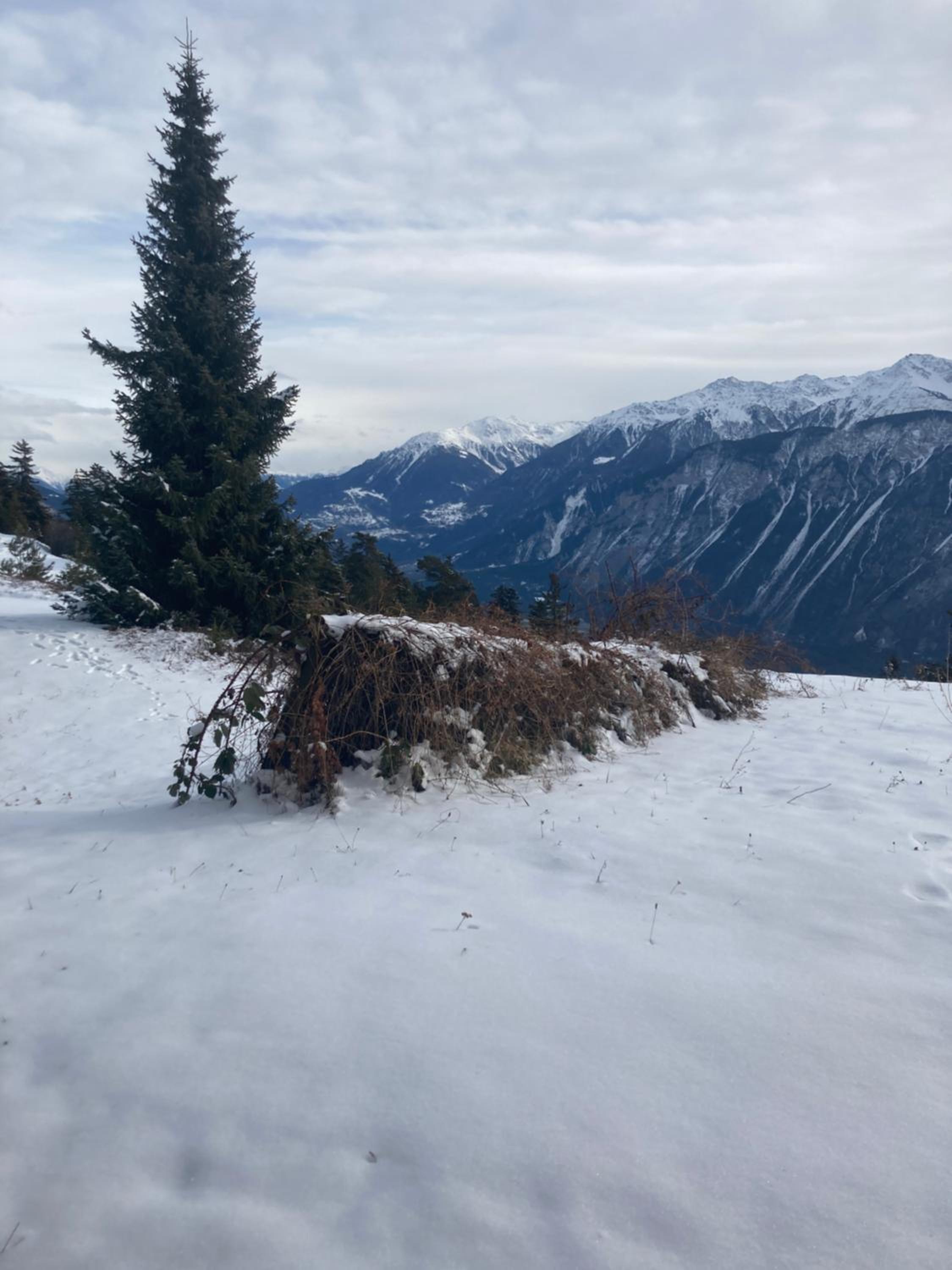 Apartment Eglantine with stunning views of the Valais Peaks