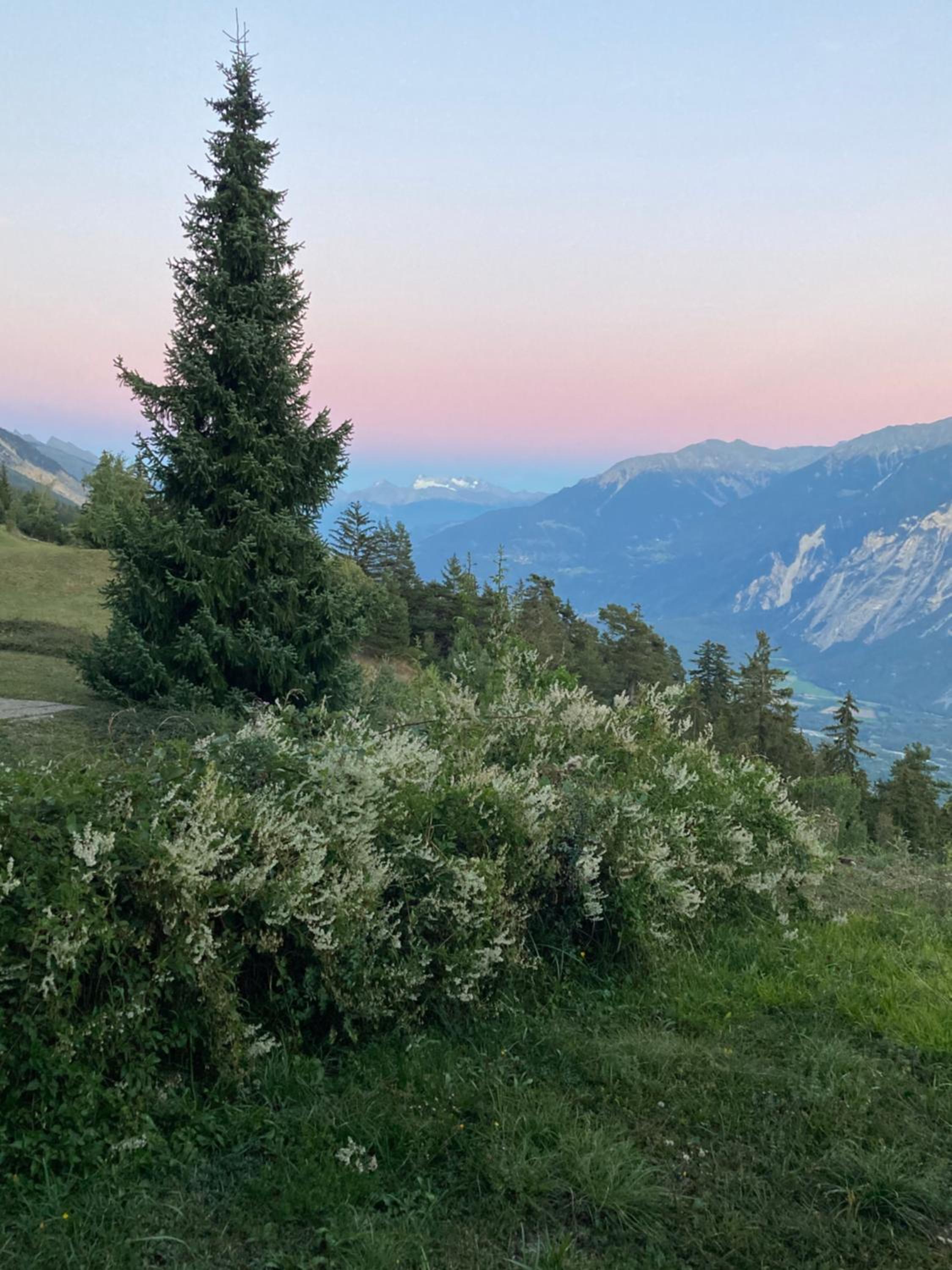 Apartment Eglantine with stunning views of the Valais Peaks