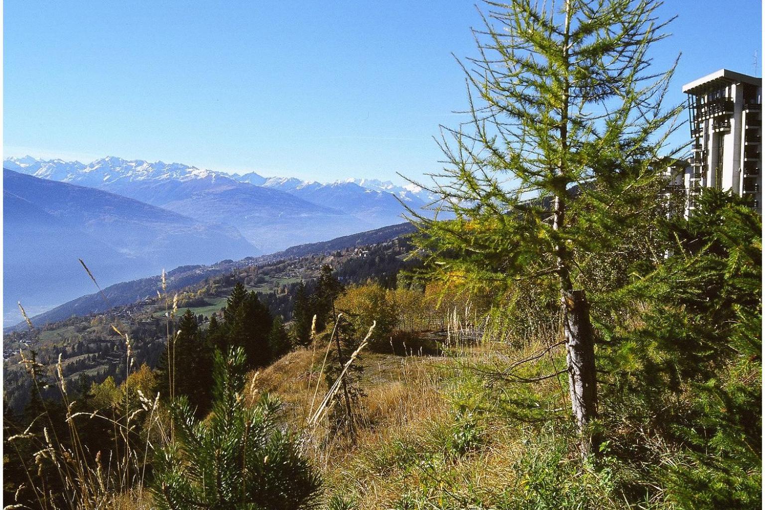 Apartment Eglantine with stunning views of the Valais Peaks