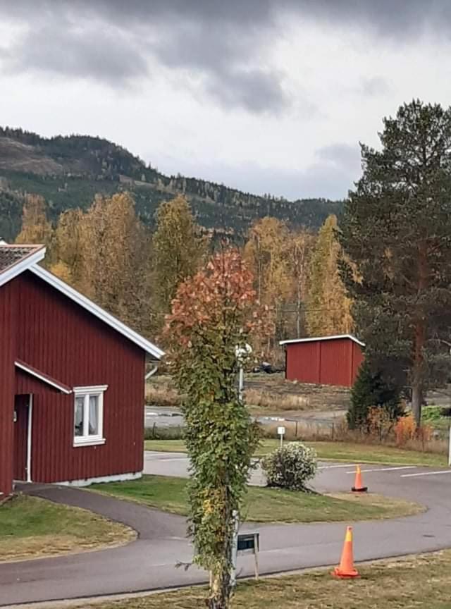 Bograngen LGH D