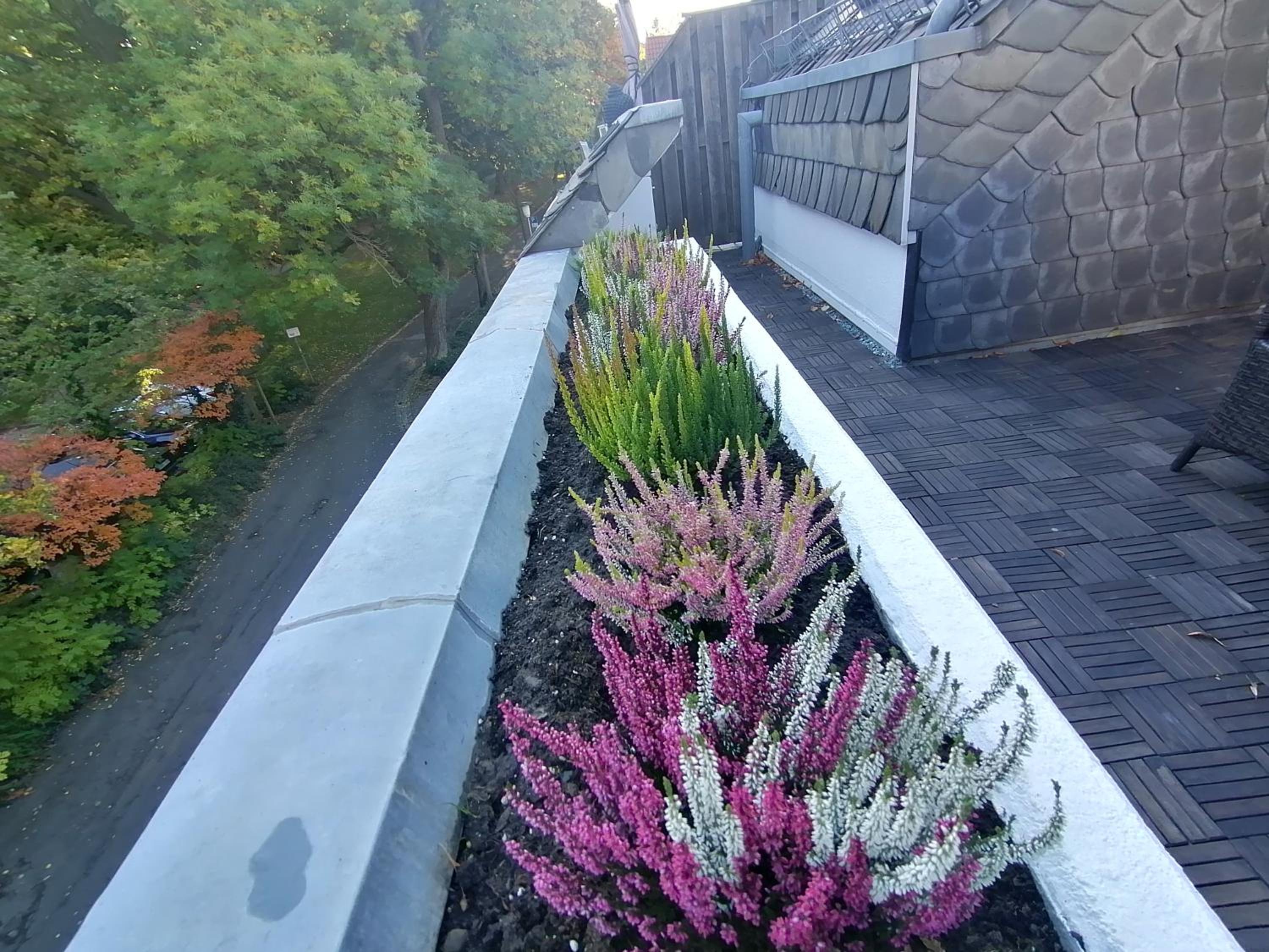 roof