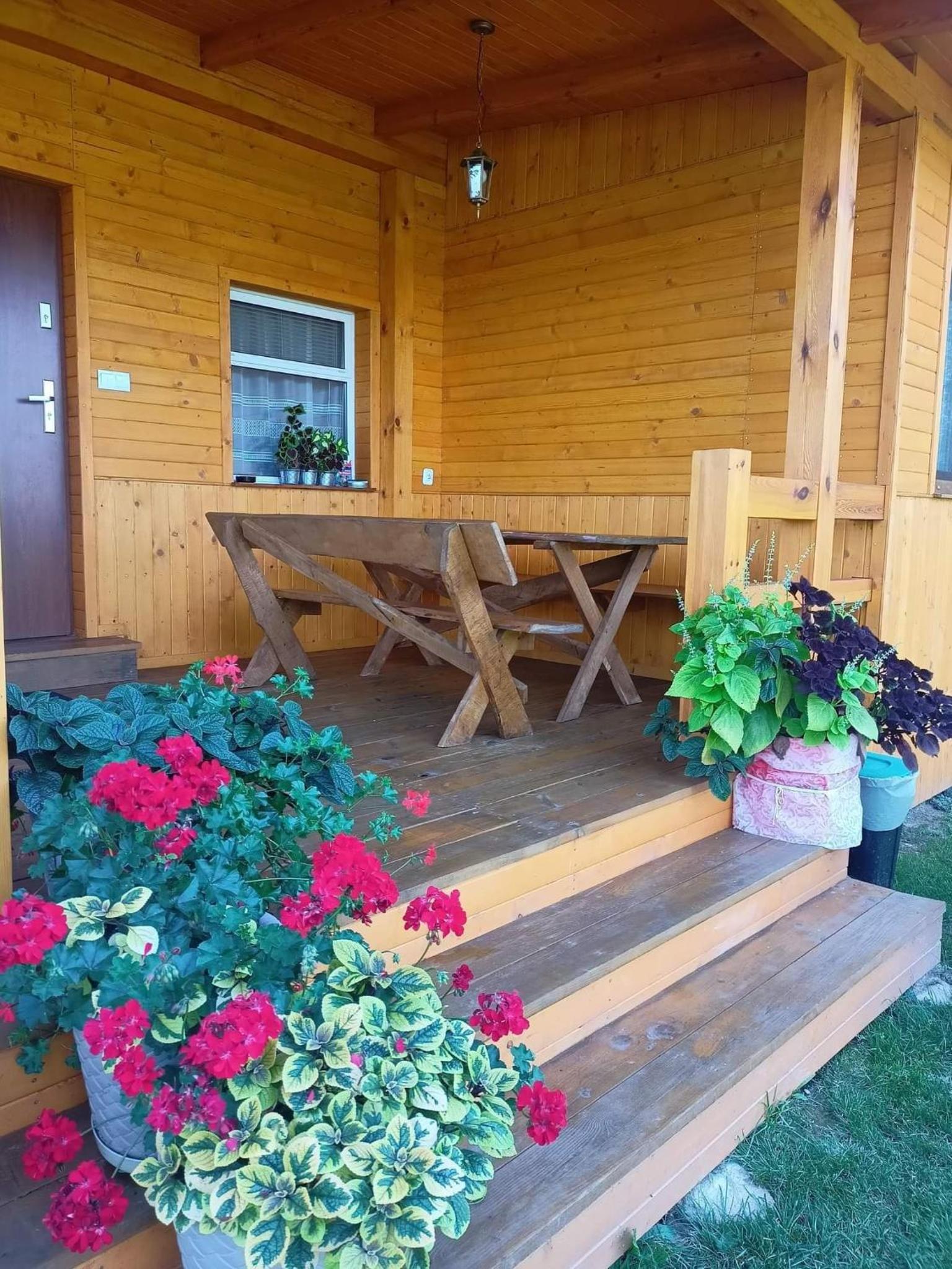 BRZOZOWY GAJ AGROTURYSTYKA view 5