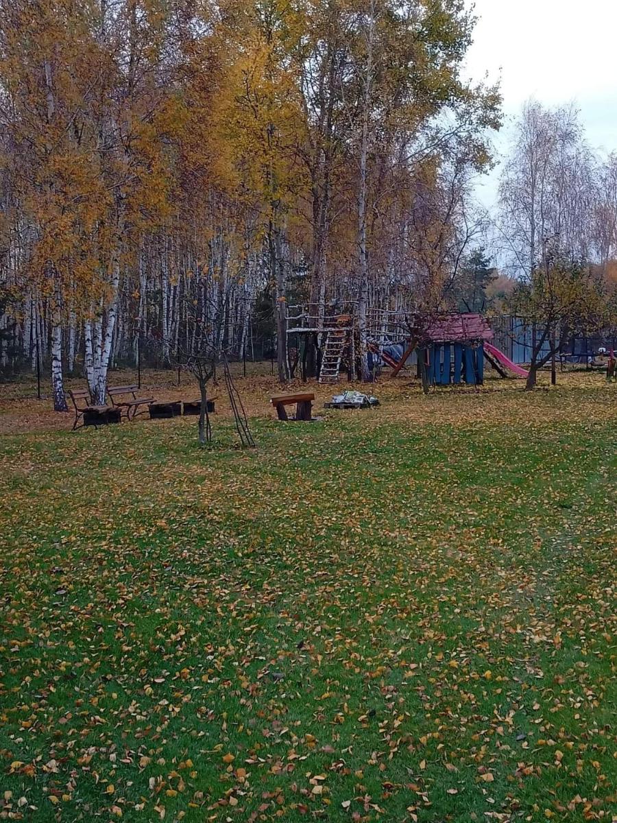 Photo 32