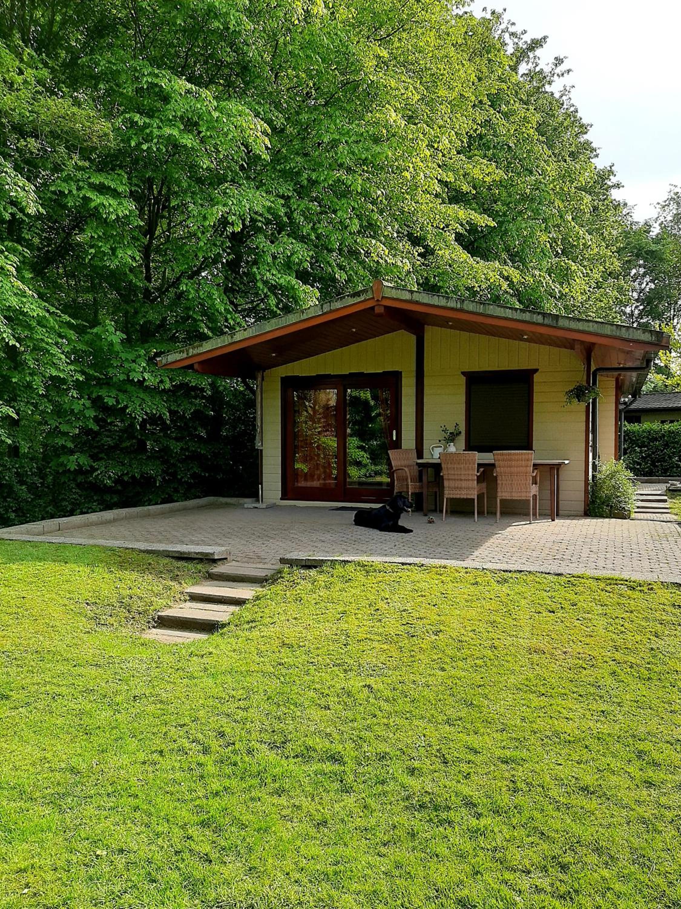Boszicht-Winterswijk view 3