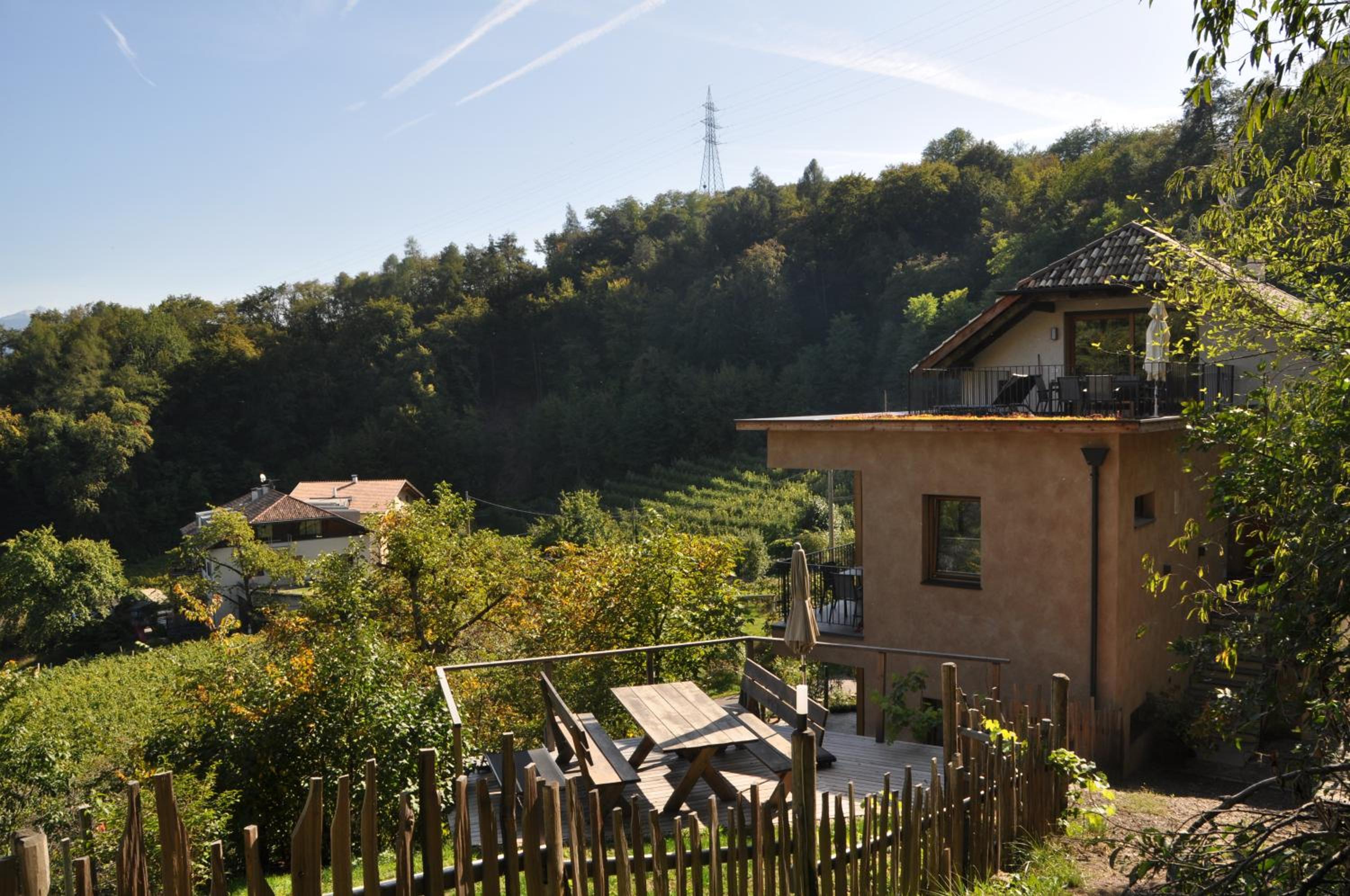 Firmelein view 4