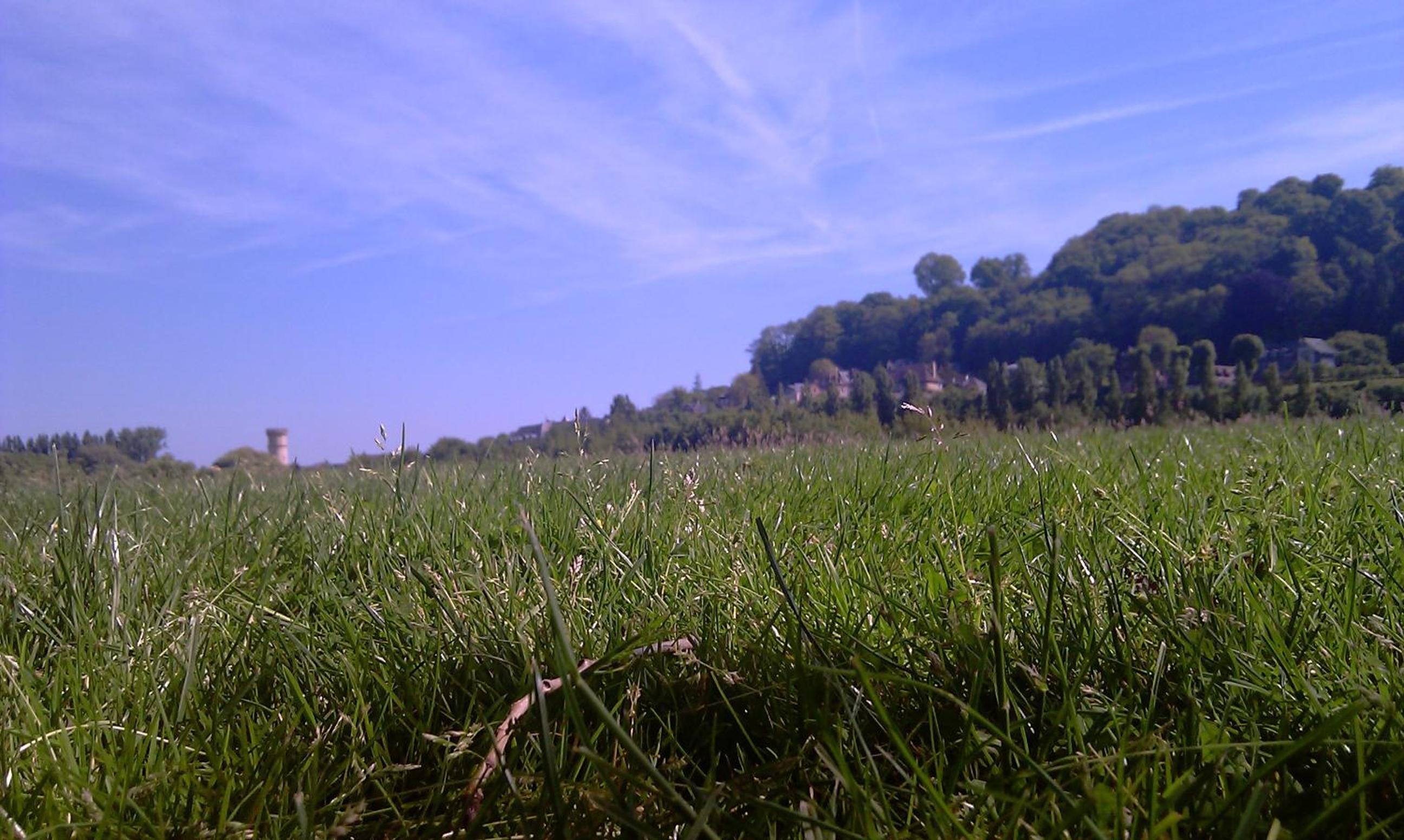 Photo 22