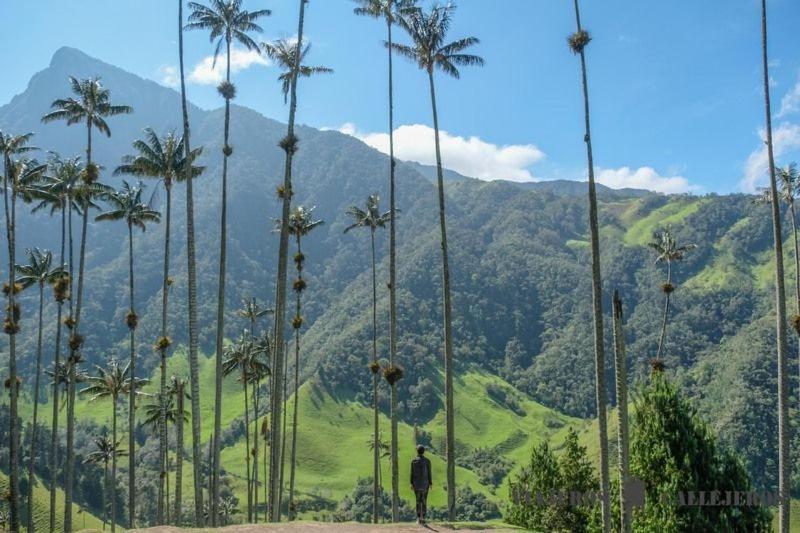 Apt/cabana Naranja - Property Image 6