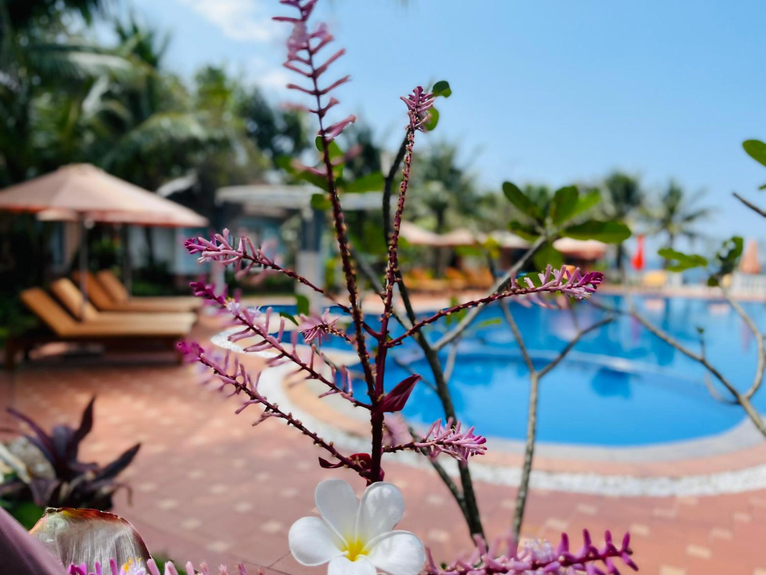 Orange Resort