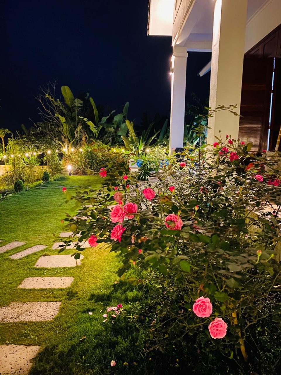 LaLi Home