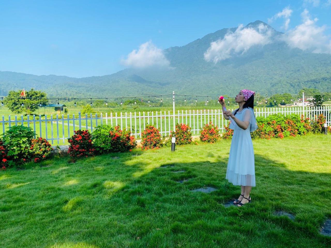 LaLi Home