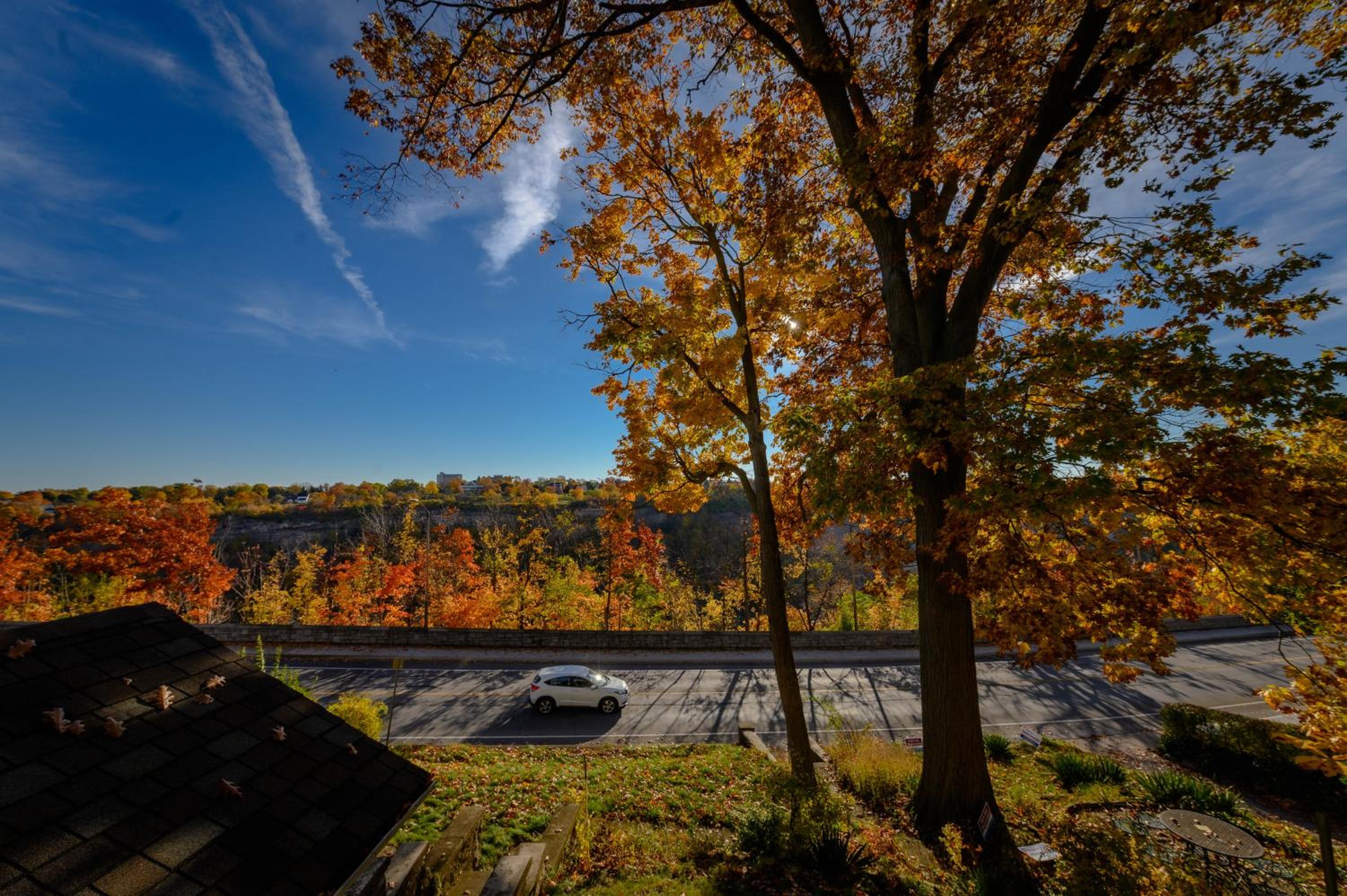 Niagara River&Gorgeview Manor-10MinsWalkToFalls