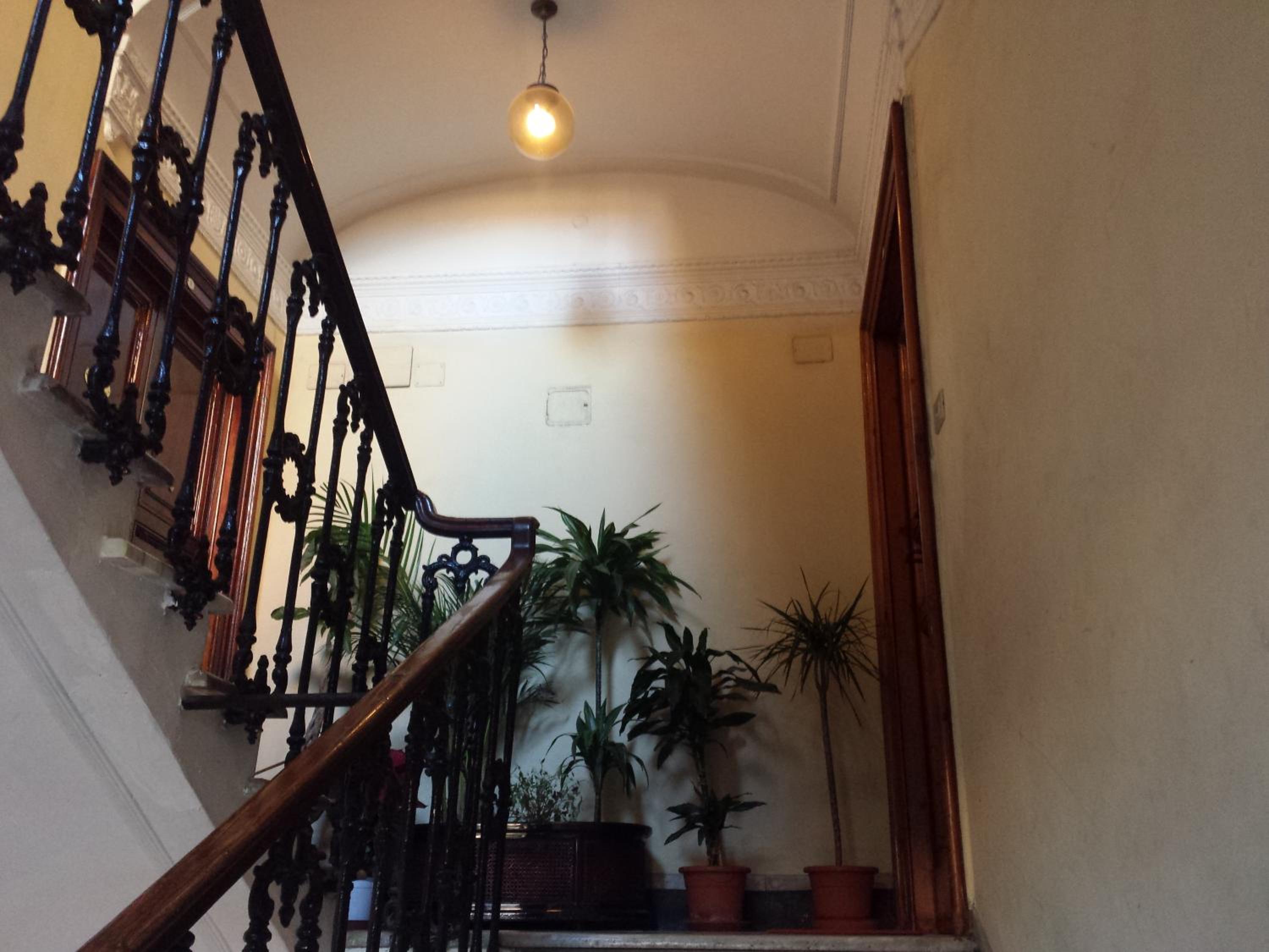 In the Center by Local Domus