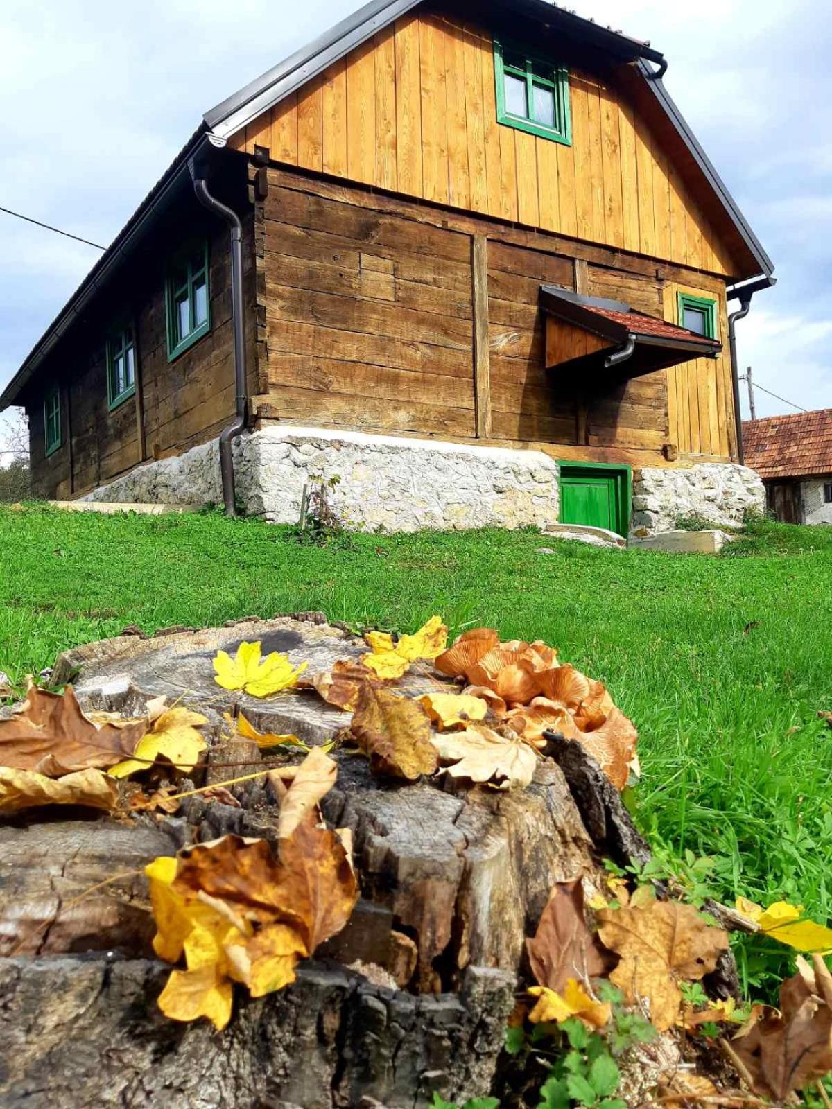 Photo 23