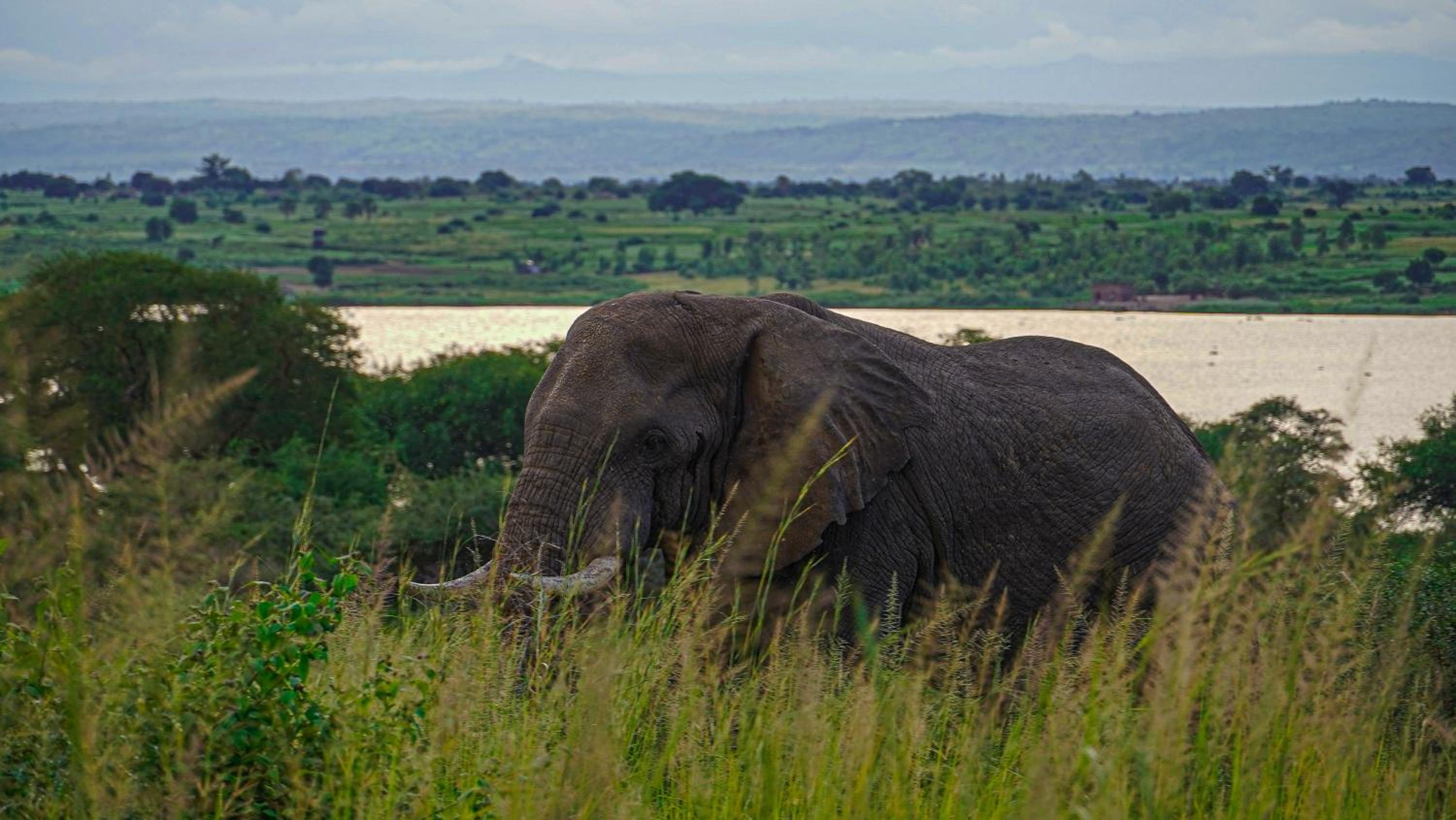 Sambiya River Lodge 14