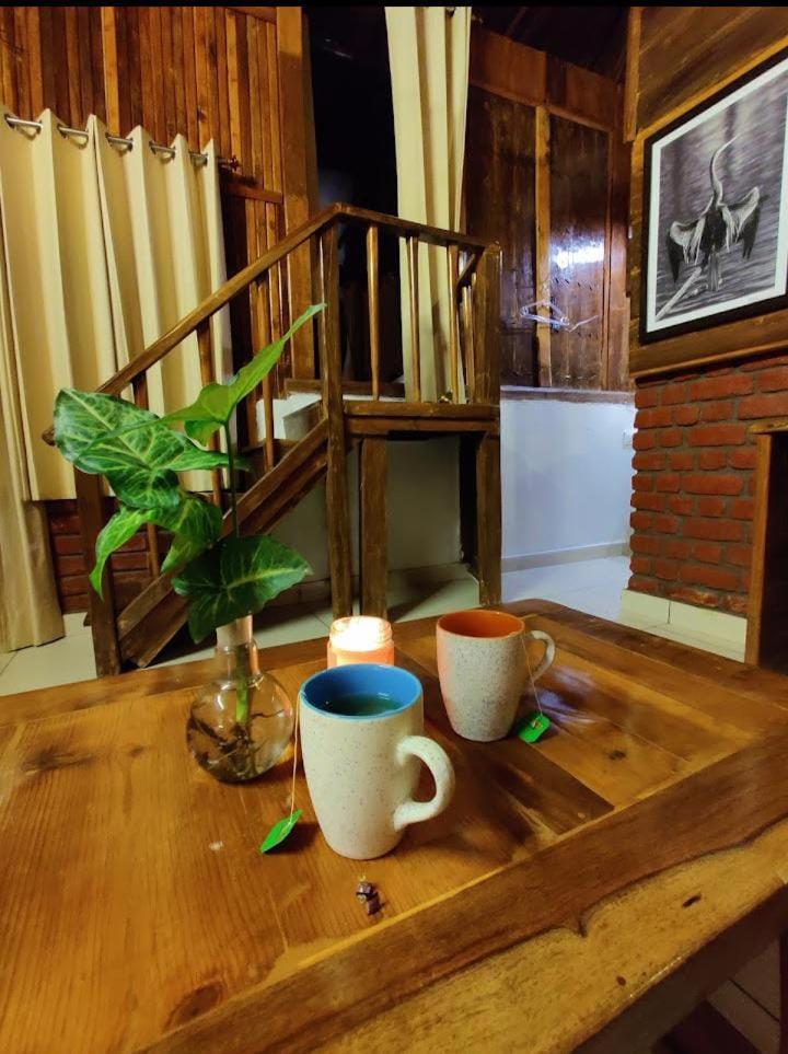Kaksh villa view 2