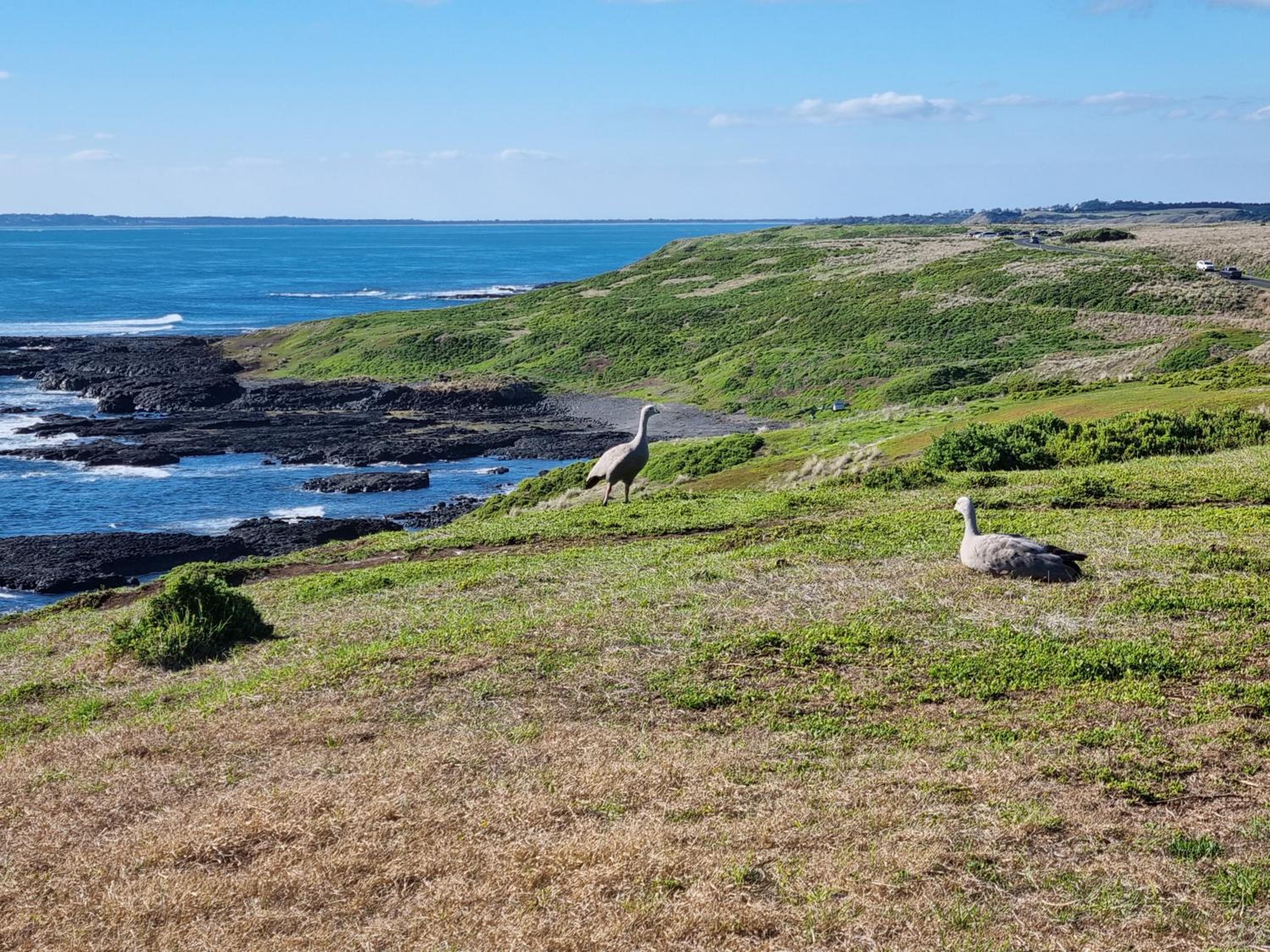 John's Place San Remo - Sleeps 5 - Pet Friendly